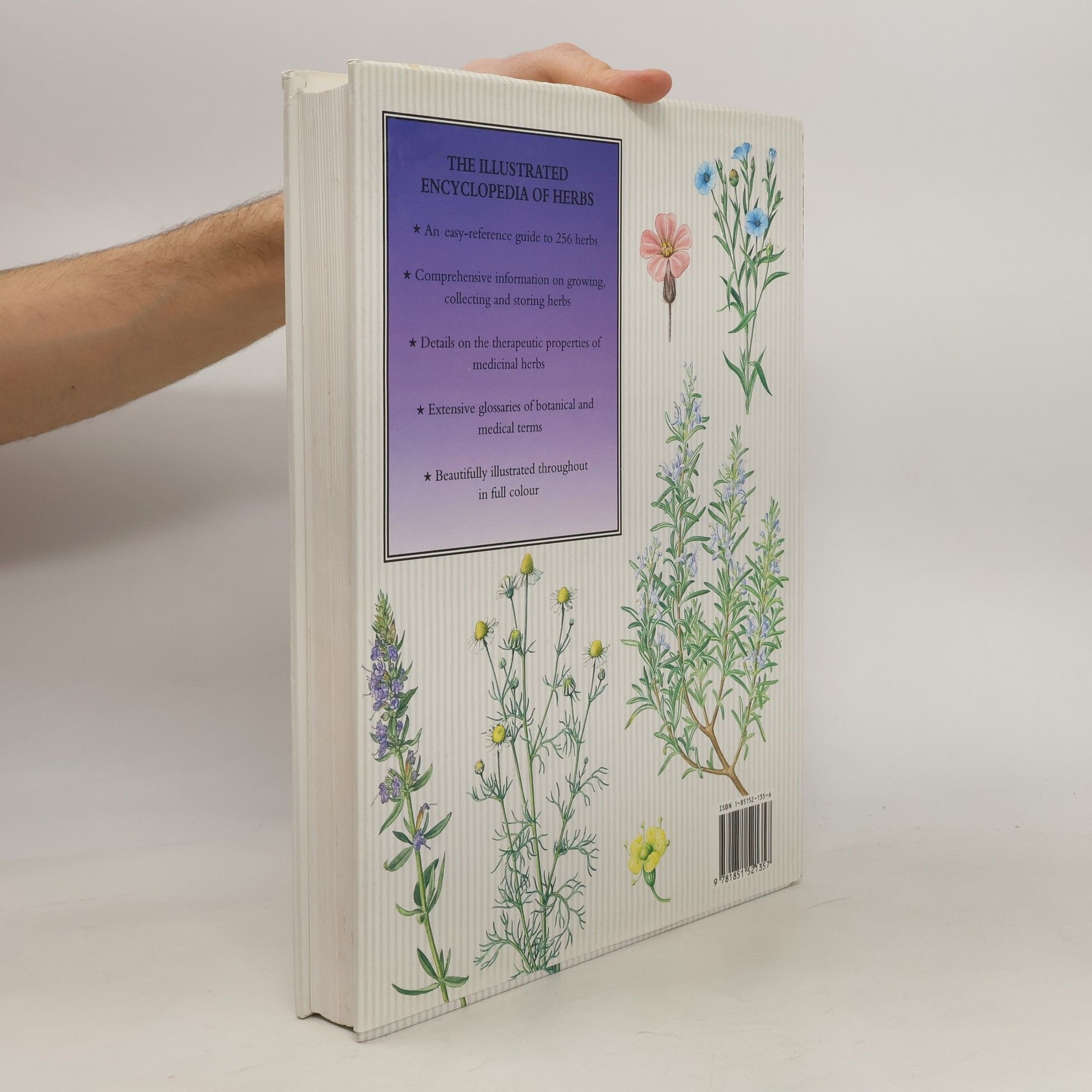 Autorenkollektiv The Illustrated Encyclopedia of Herbs