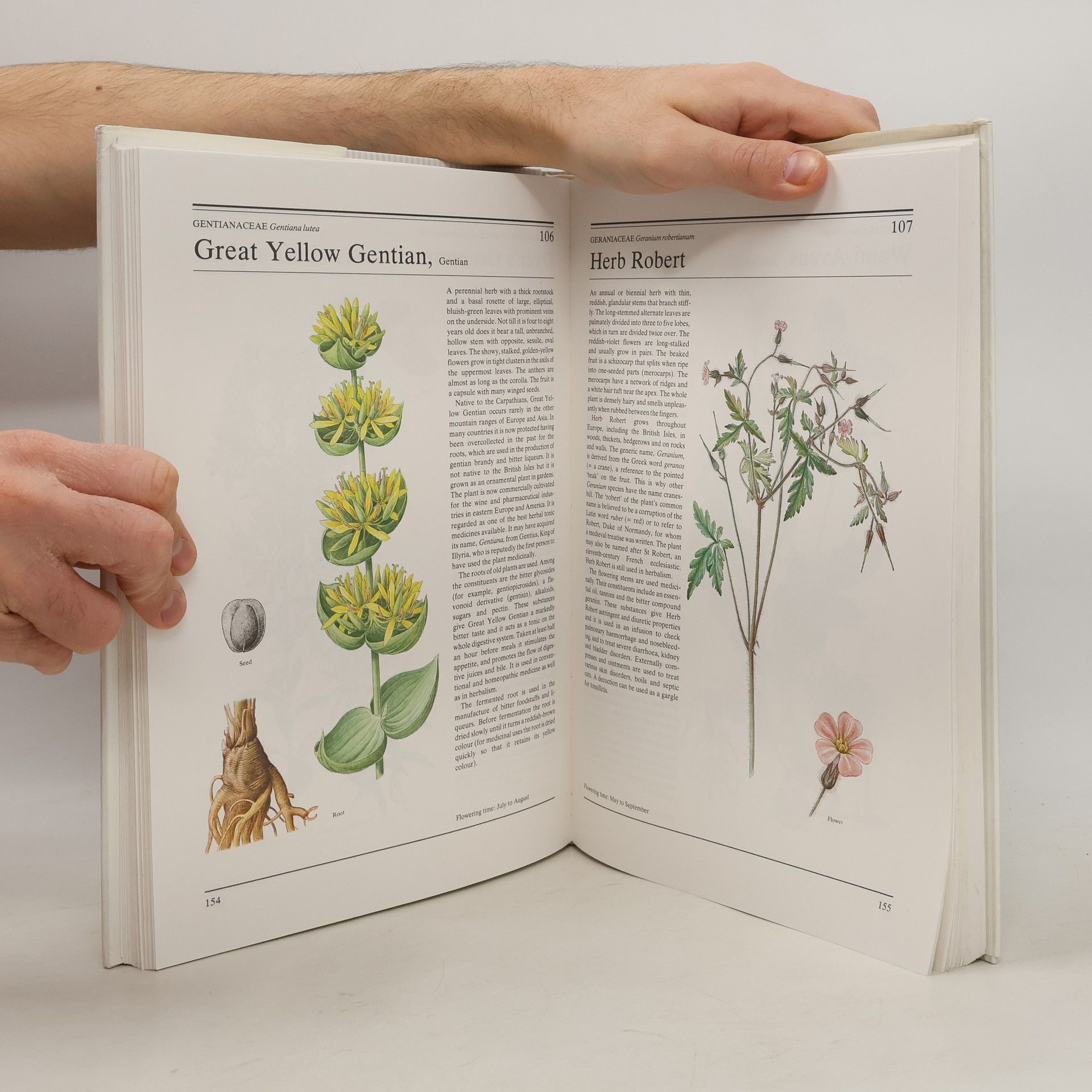 Autorenkollektiv The Illustrated Encyclopedia of Herbs