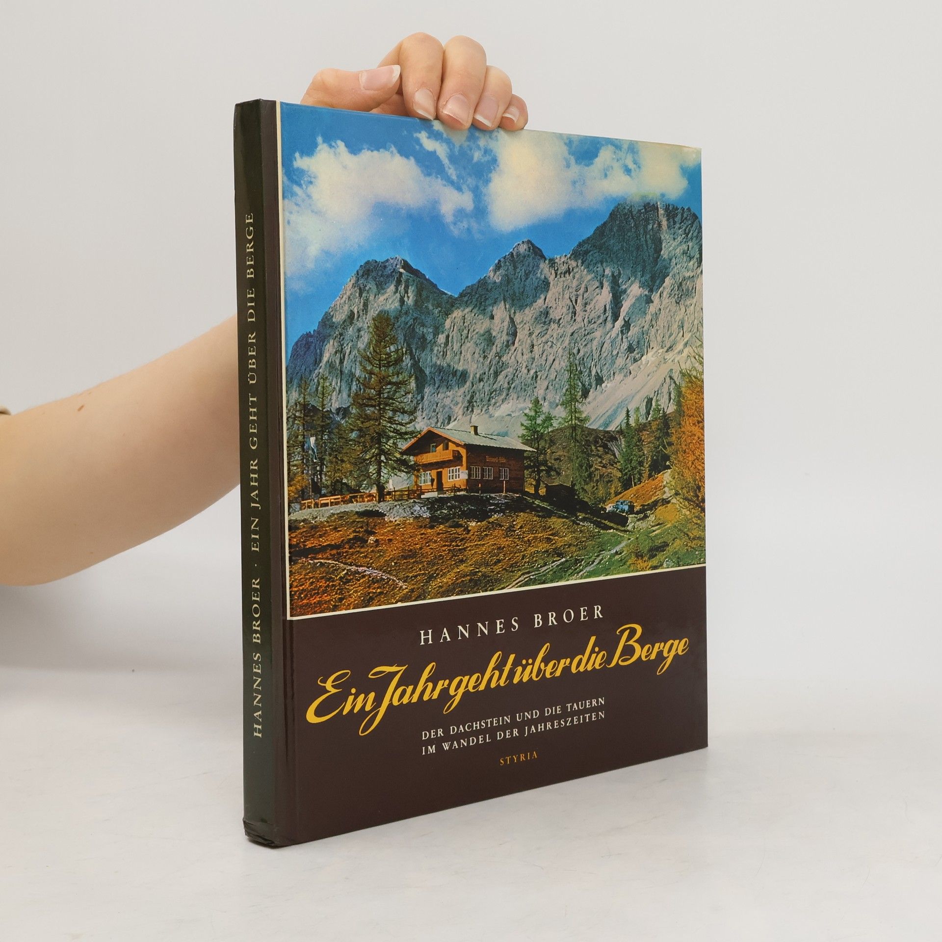 Hannes Broer Ein Jahr geht über die Berge