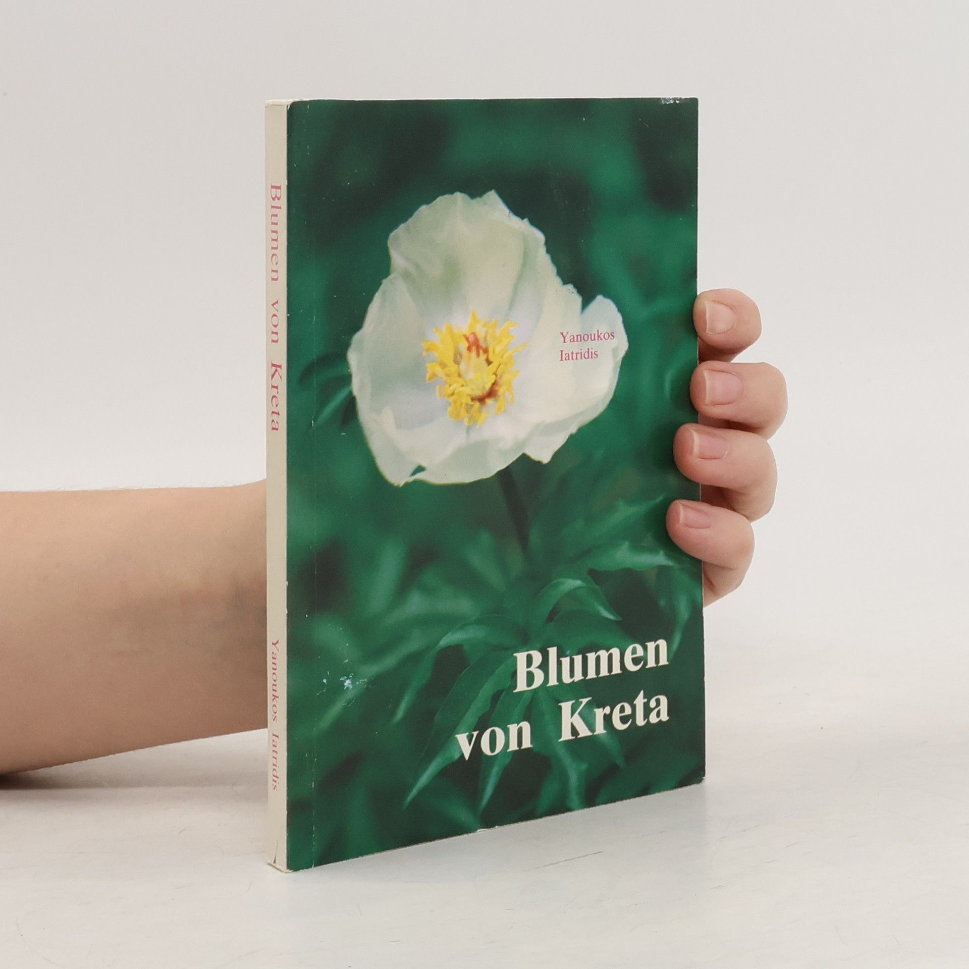 Yanoukos Iatridis Blumen von Kreta