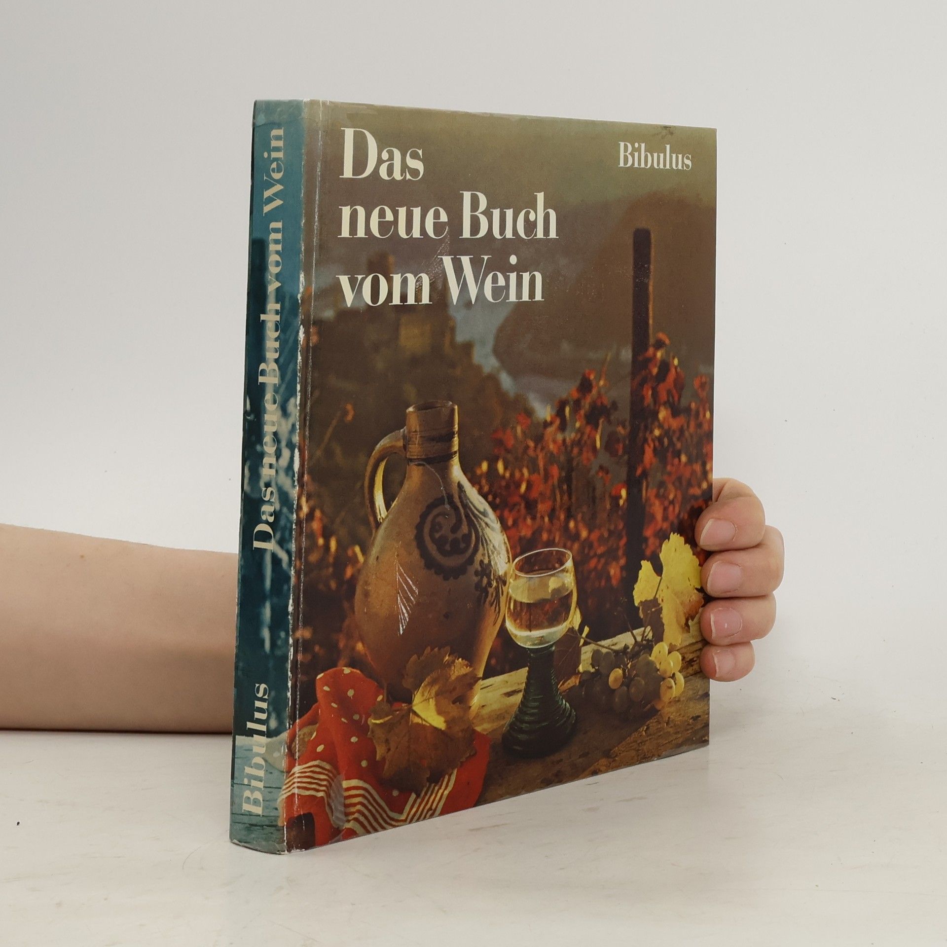 Autorenkollektiv Das neue große Buch vom Wein