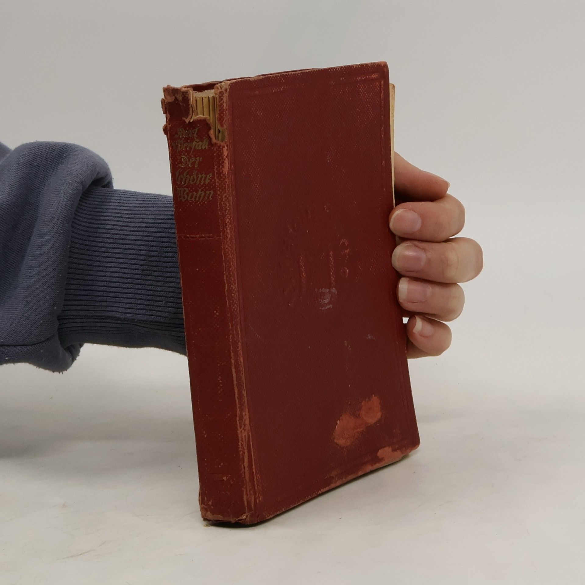 Karl von Perfall Der schöne Wahn