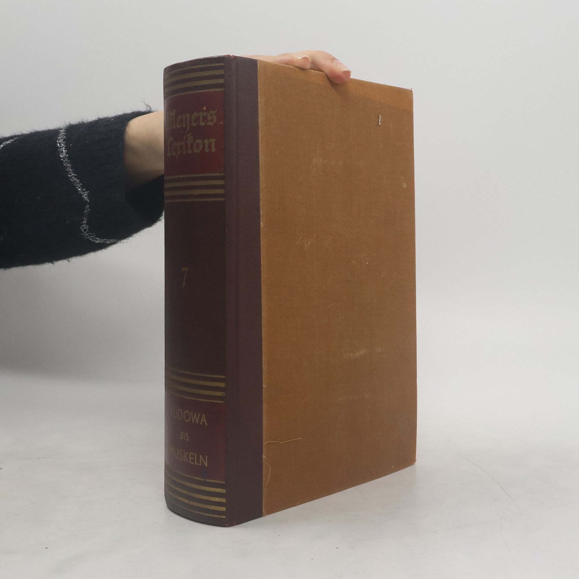 Autorenkollektiv Meyers Lexikon 7