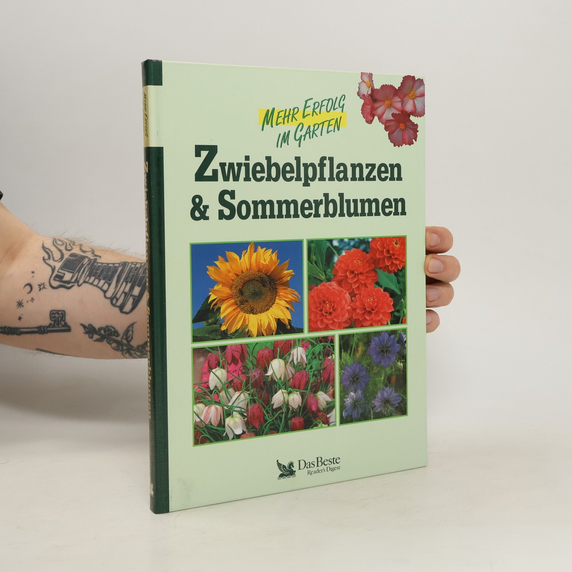 Birgit Gläser Zwiebelpflanzen & Sommerblumen