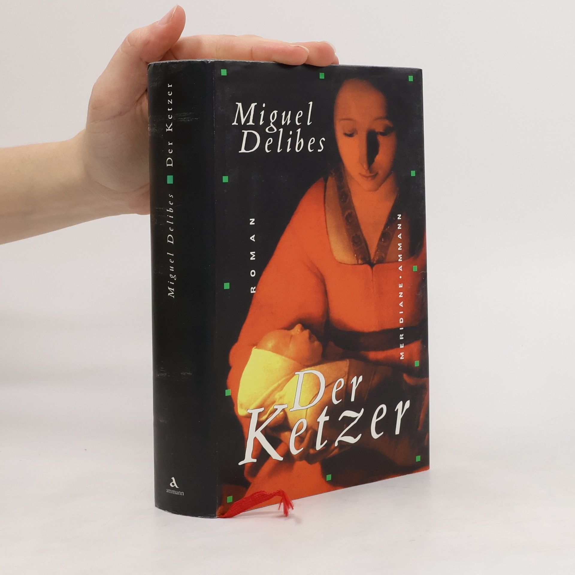 Miguel Delibes Der Ketzer