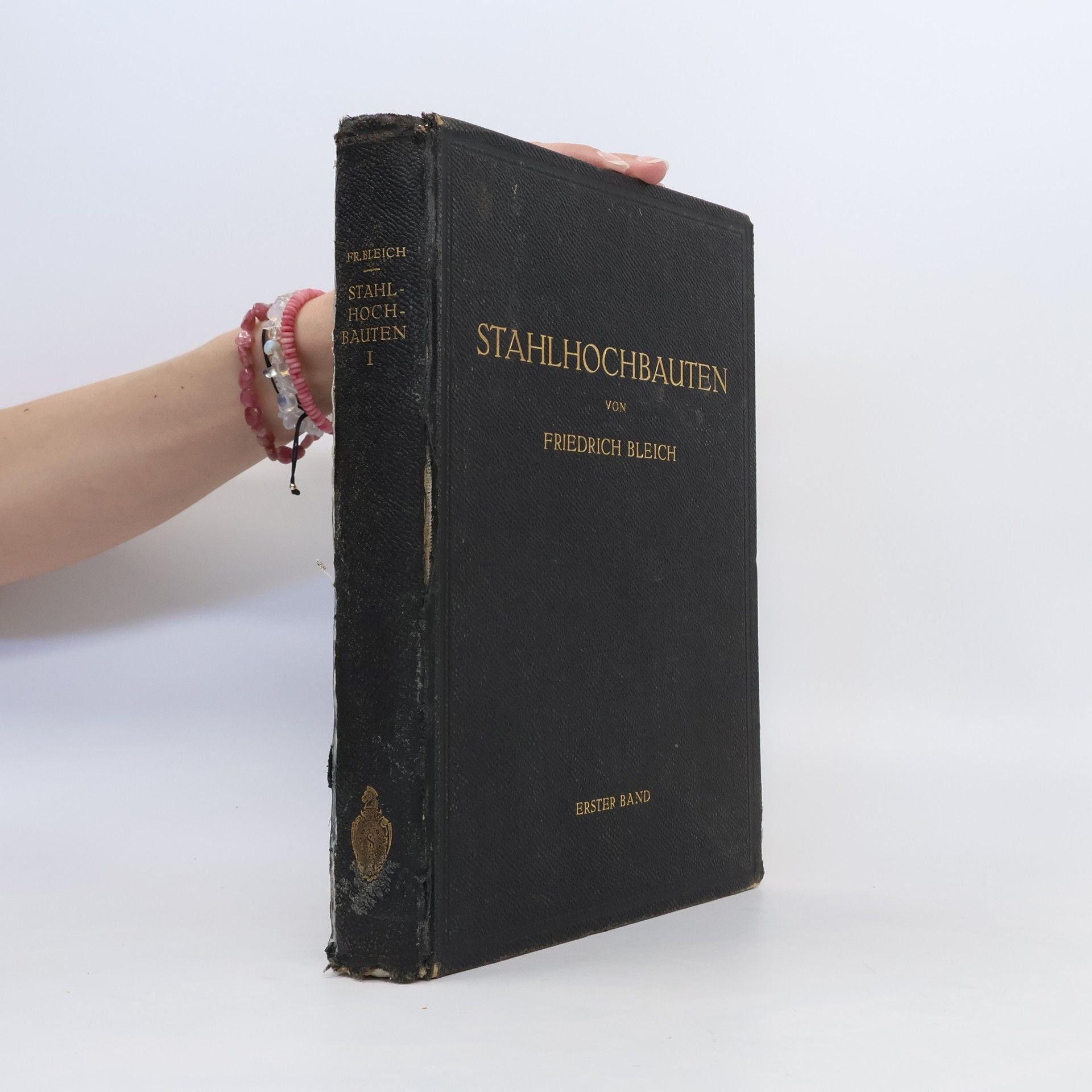 Friedrich Bleicher Stahlhochbauten I
