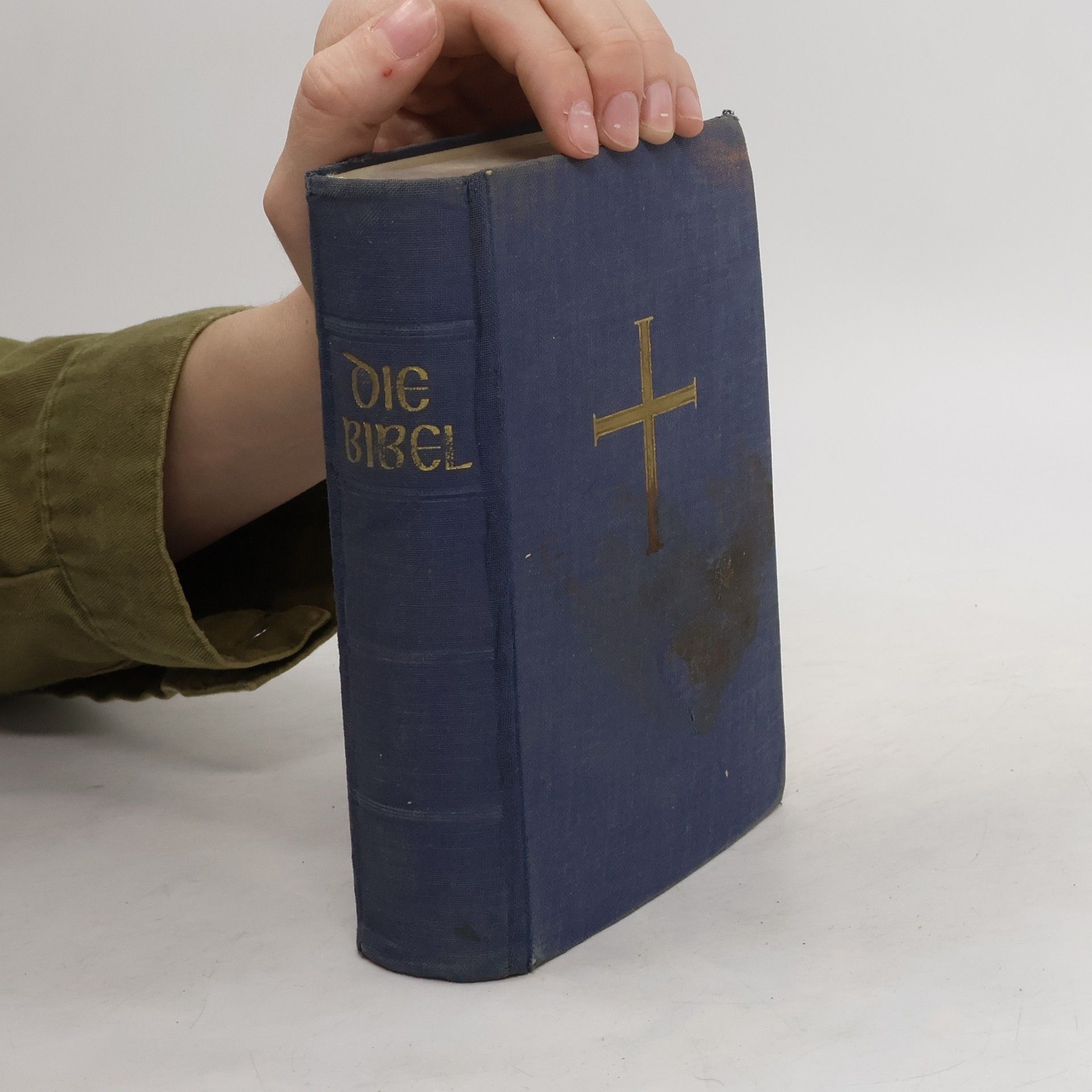 Autorenkollektiv Die Bibel oder die ganze Heilige Schrift des Alten und Neuen Testaments nach der Übersetzung D. Martin Luthers