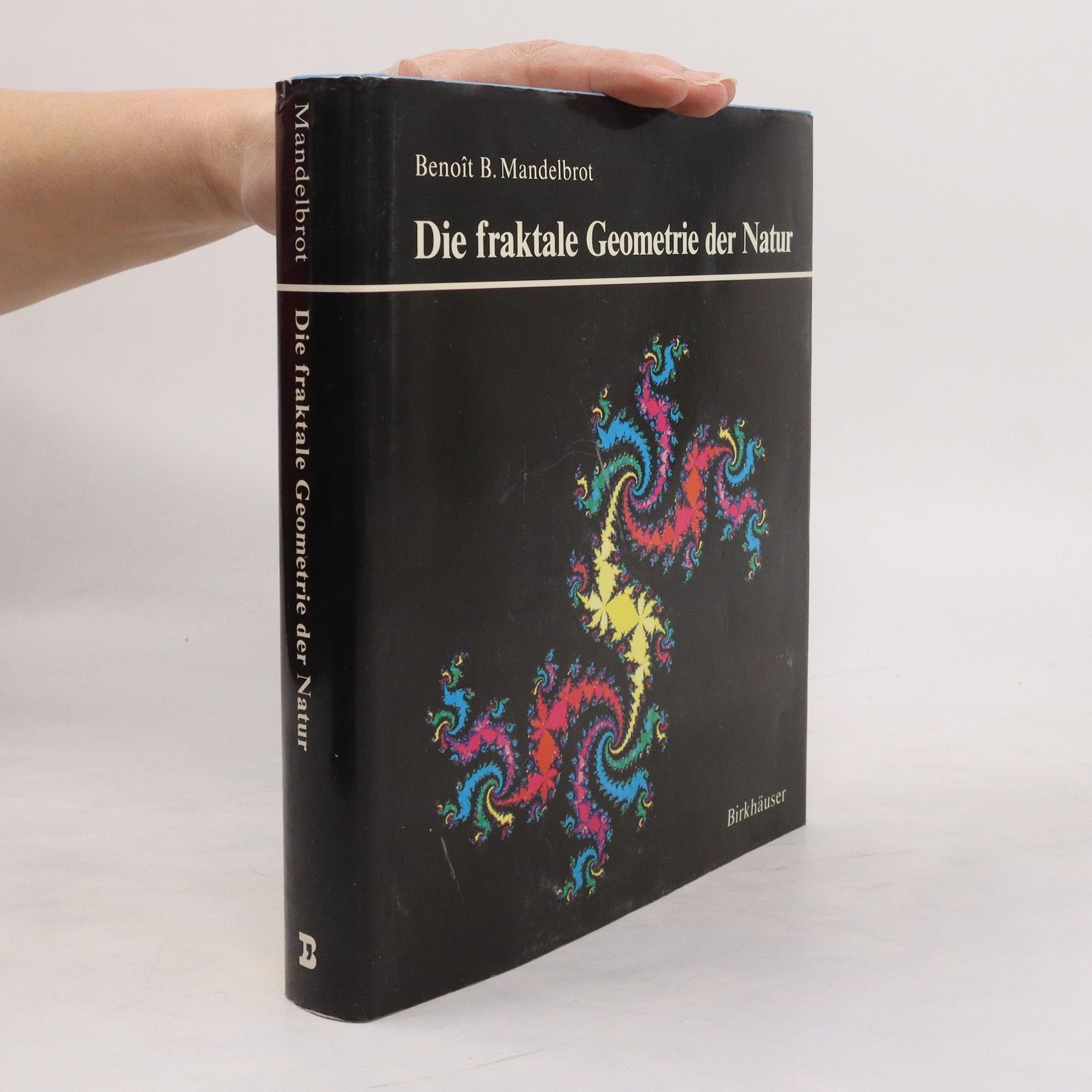 Benoit Mandelbrot Die fraktale Geometrie der Natur