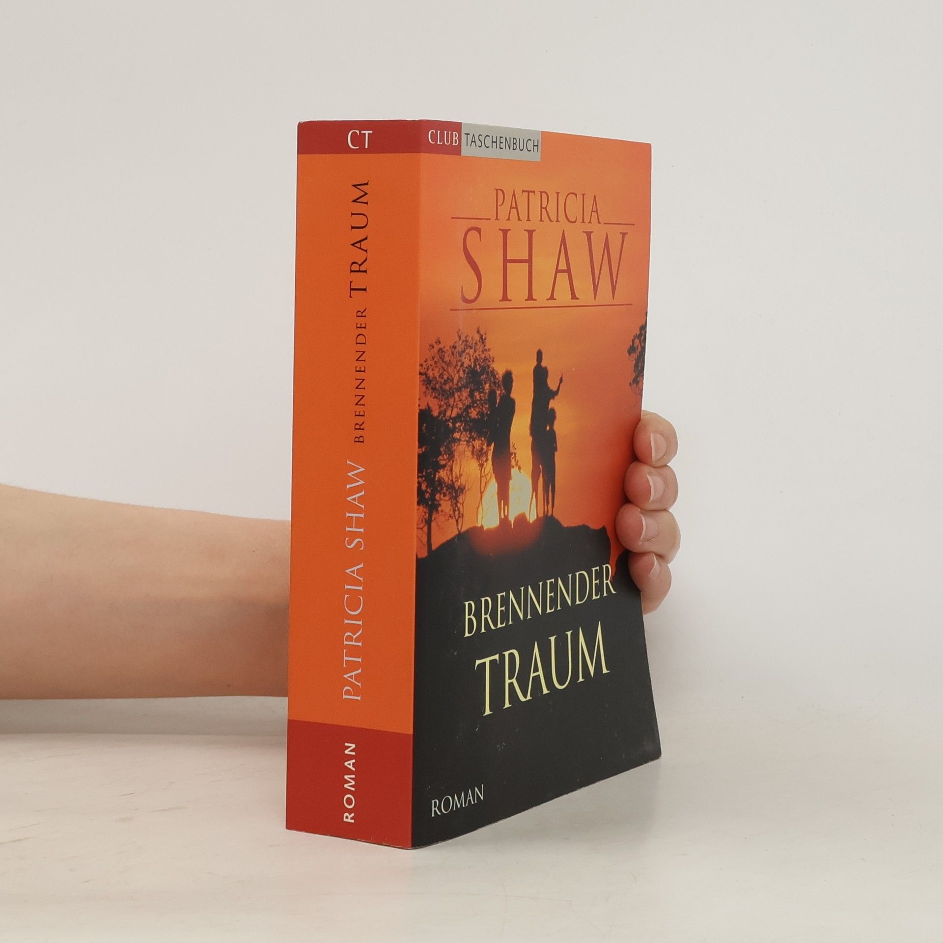 Patricia Shaw Brennender Traum