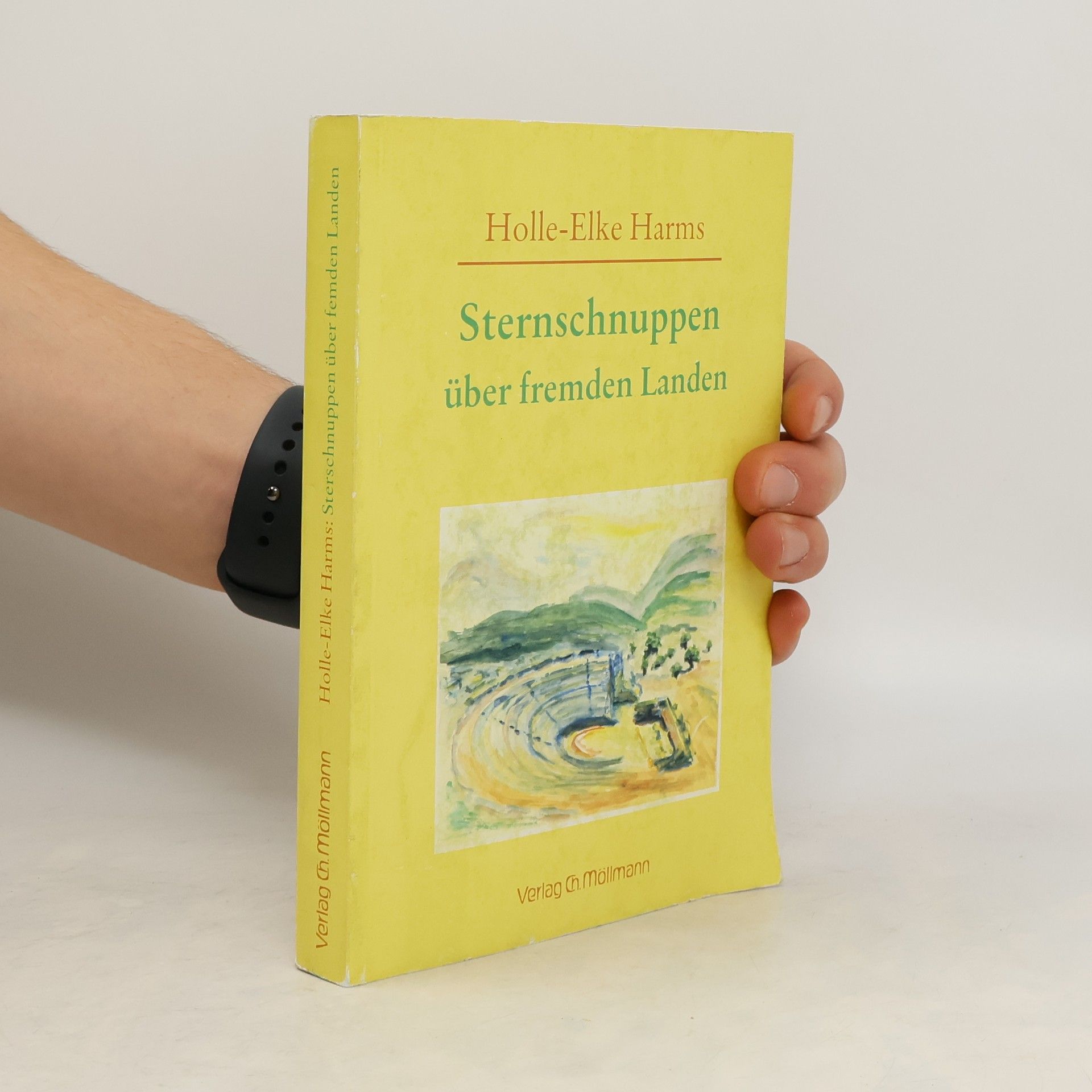 Holle-Elke Harms Sternschnuppen über fremden Landen