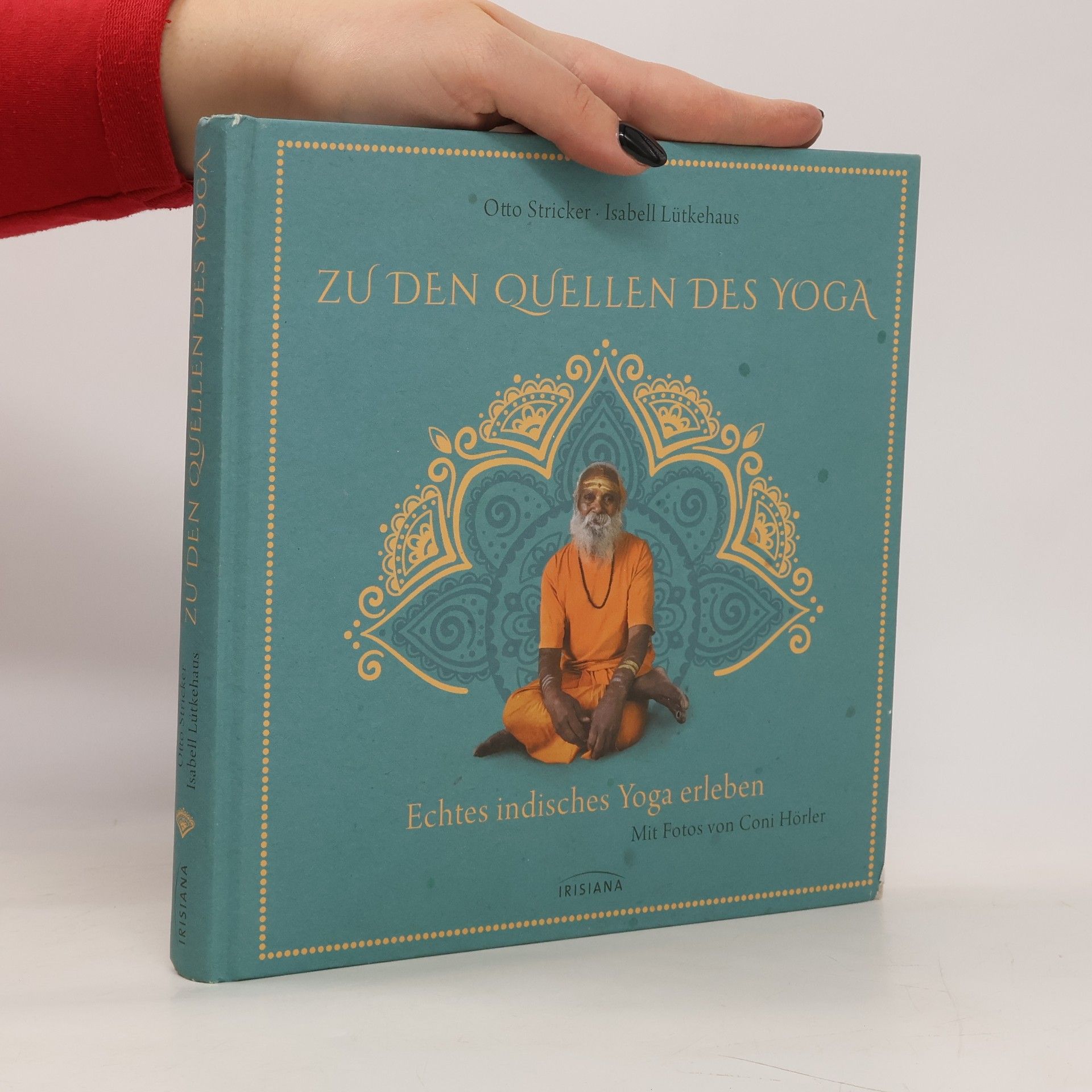 Harald Stricker Zu den Quellen des Yoga