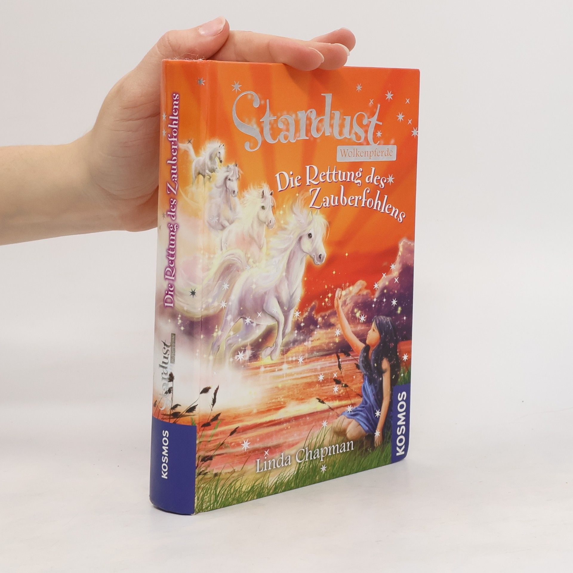 Linda Chapman Stardust - Wolkenpferde, die Rettung des Zauberfohlens