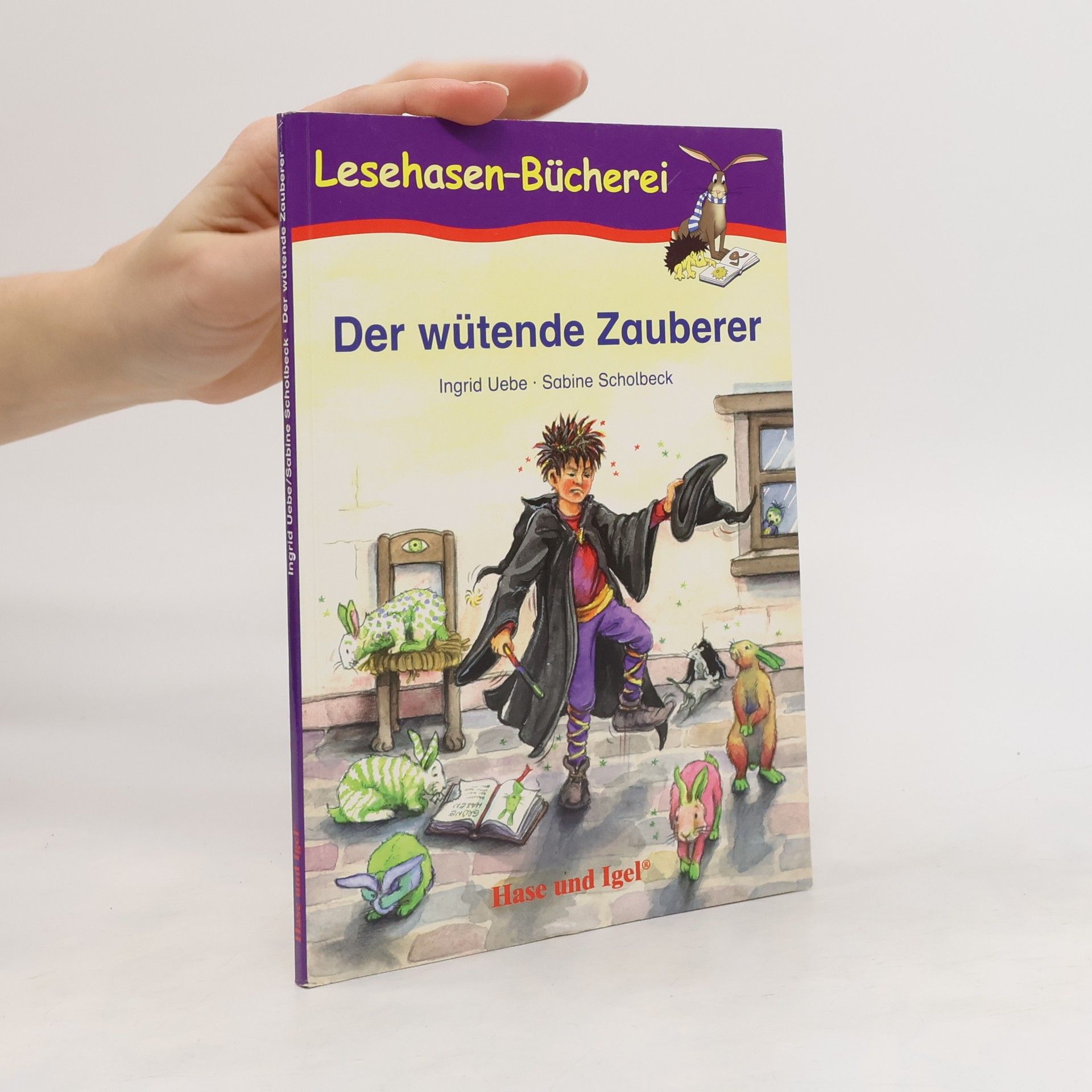 Ingrid Uebe Der wütende Zauberer