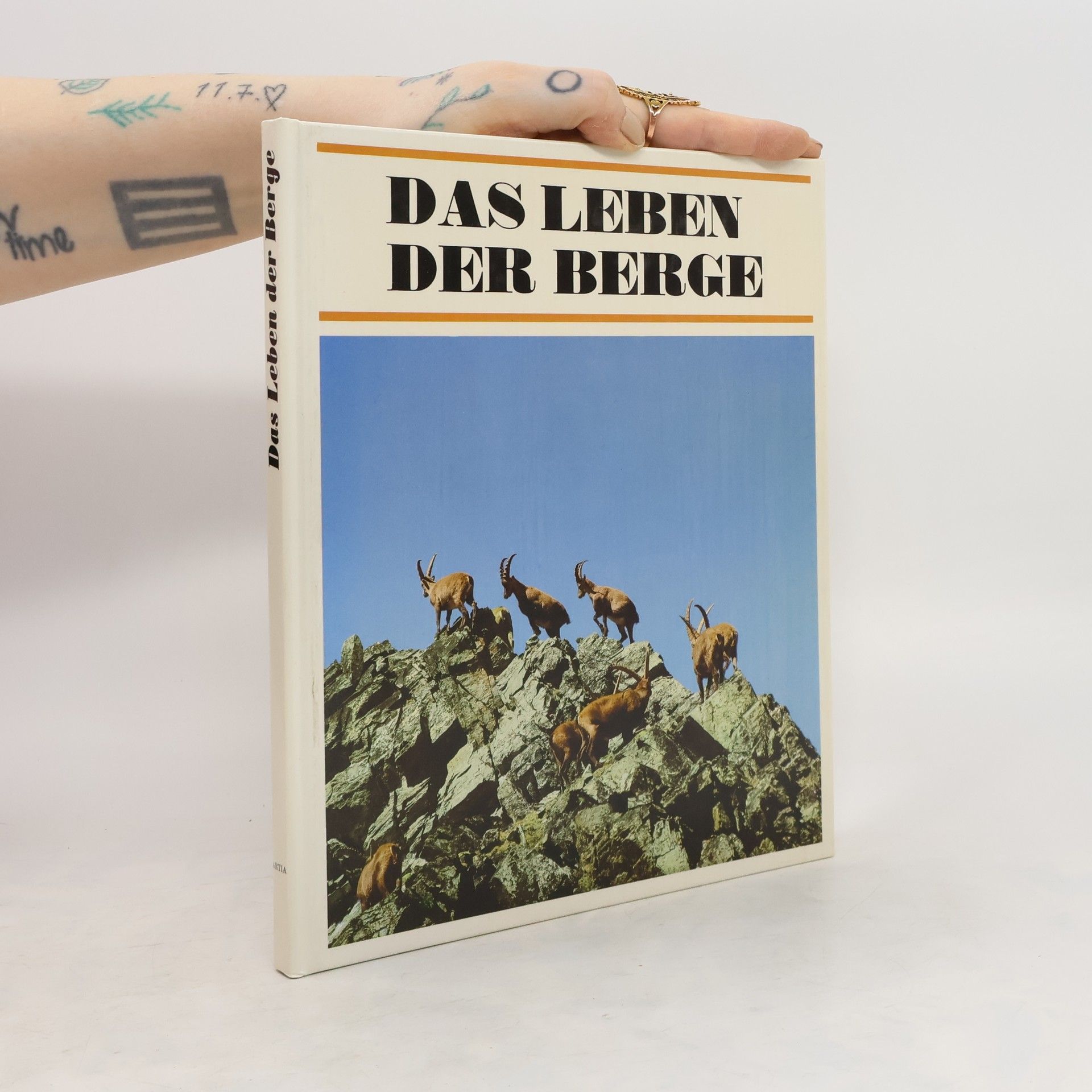 Jan Jeník Das Leben der Berge
