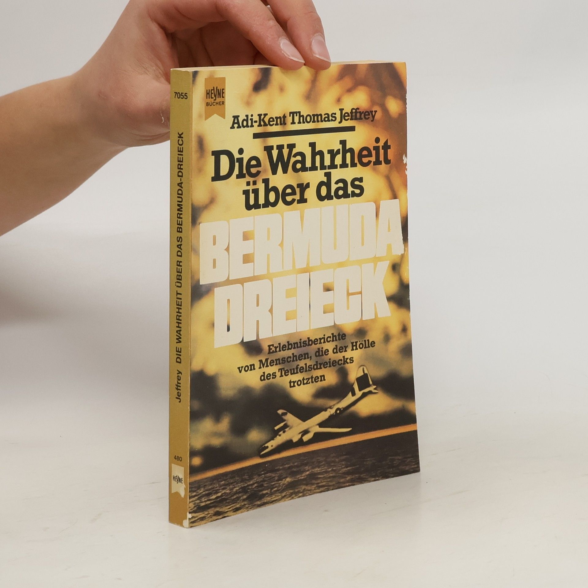 Adi-Kent Thomas Jeffrey Die Wahrheit über das Bermudadreieck