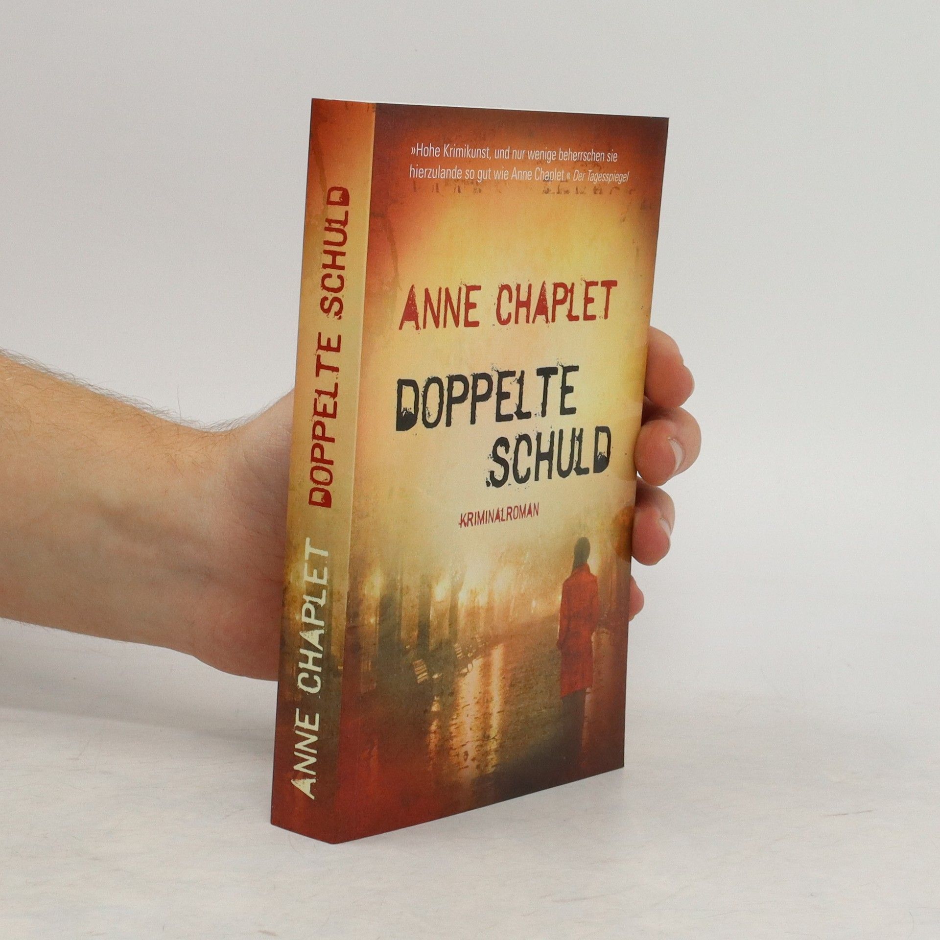 Anne Chaplet Doppelte Schuld