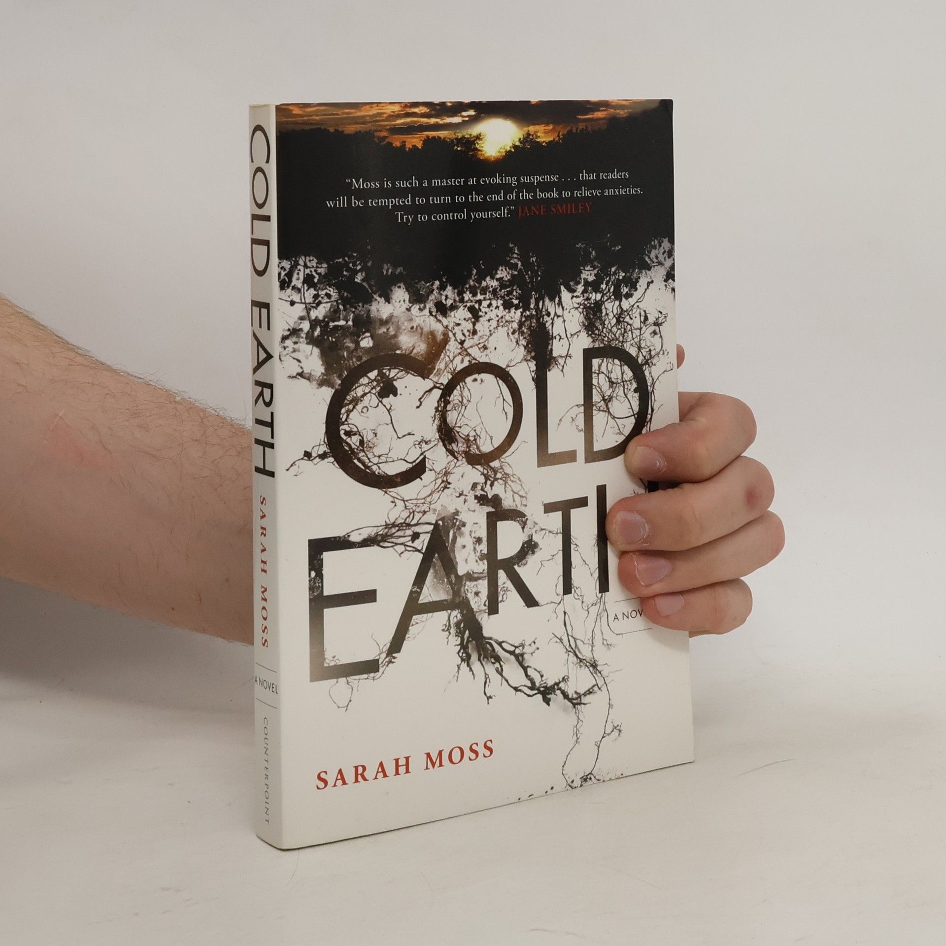 Sarah Moss Cold Earth