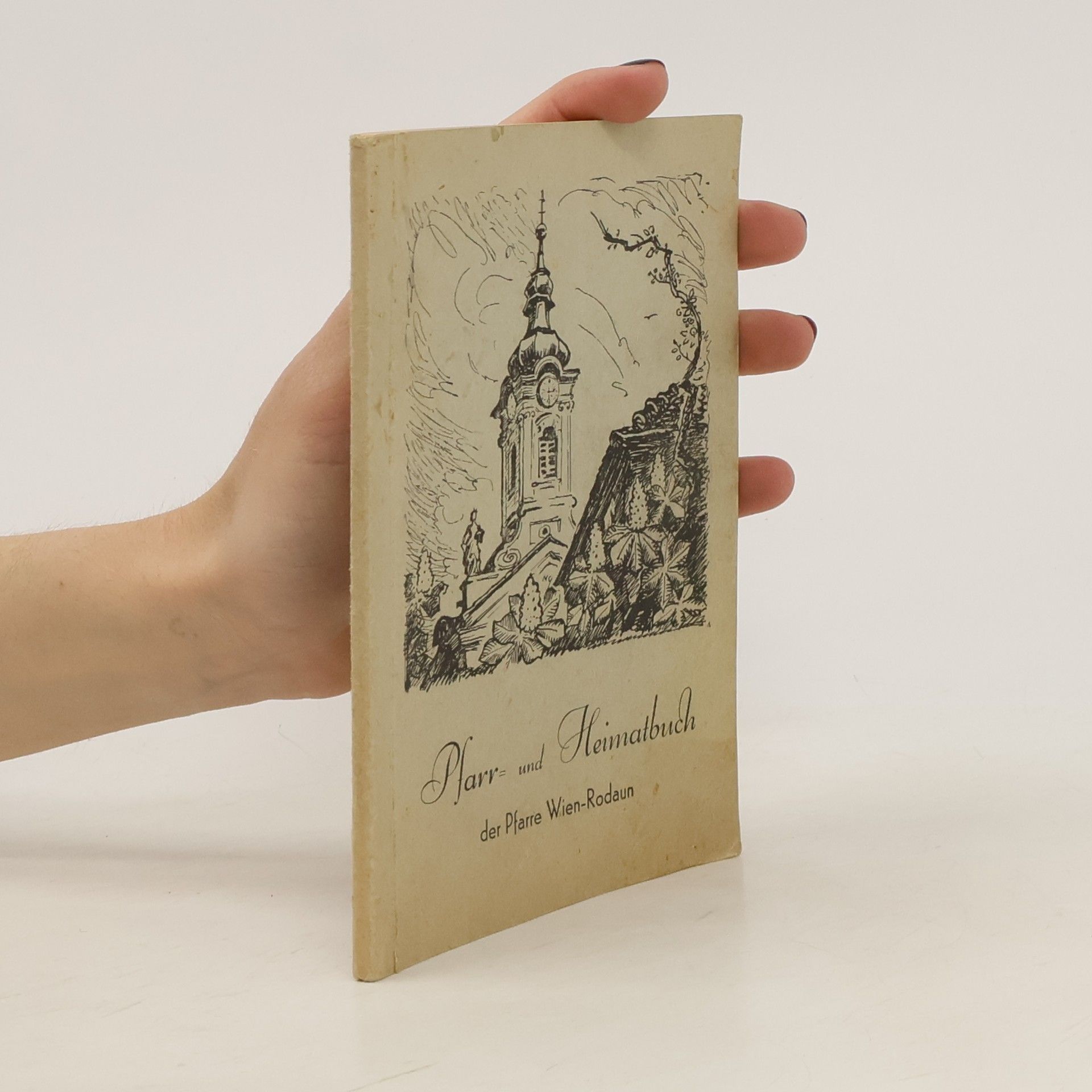 Josef Strohschneider Pfarr und Heimatbuch