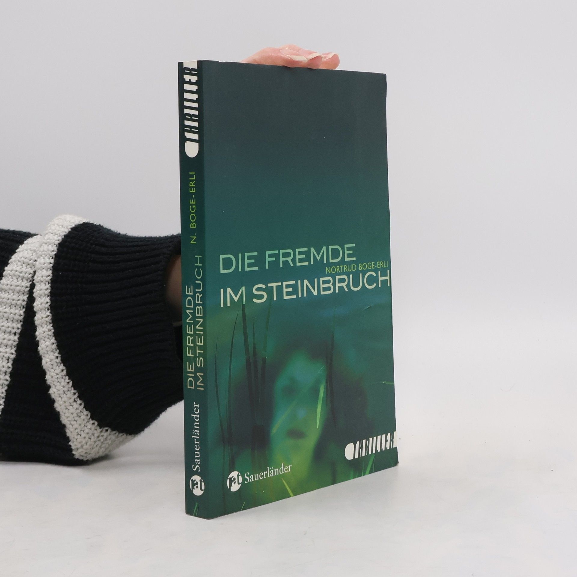 Nortrud Boge-Erli Die Fremde im Steinbruch. Sauerländer Thriller