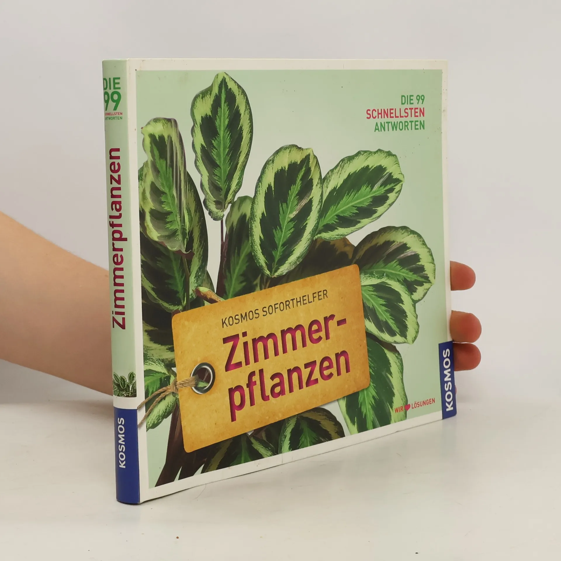 Soforthelfer Zimmerpflanzen | Buch | Folko Kullmann