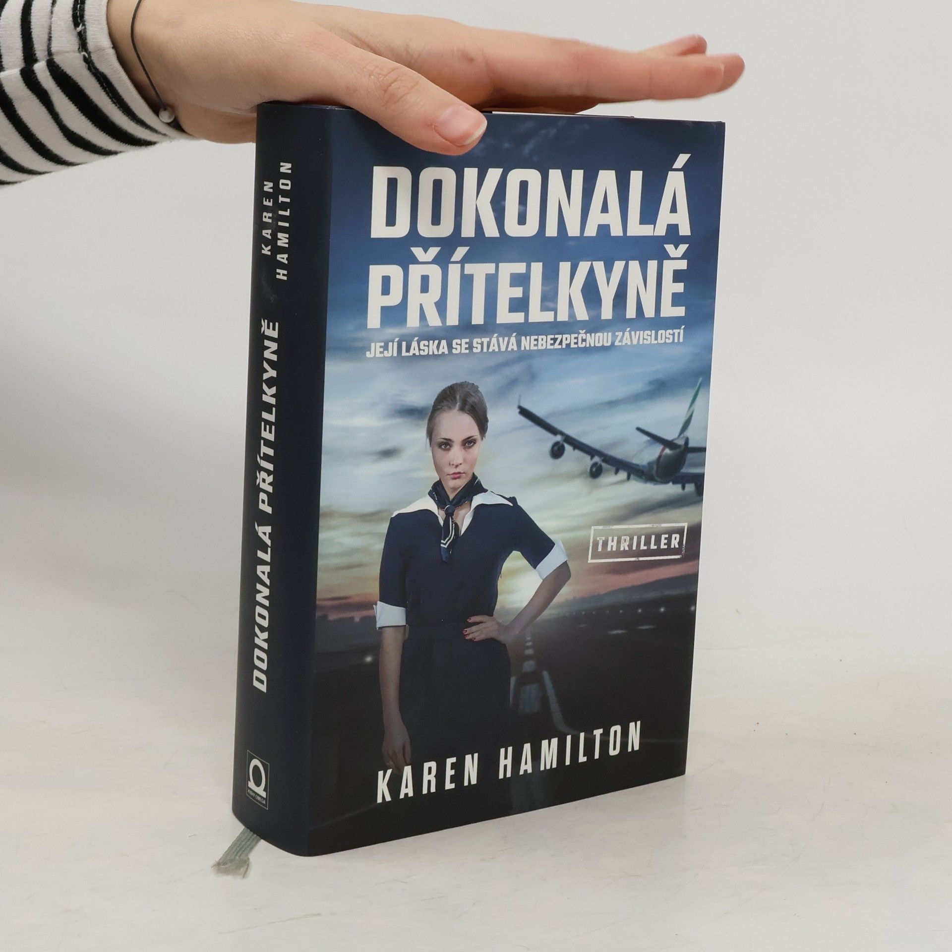 Karen Hamilton Dokonalá přítelkyně