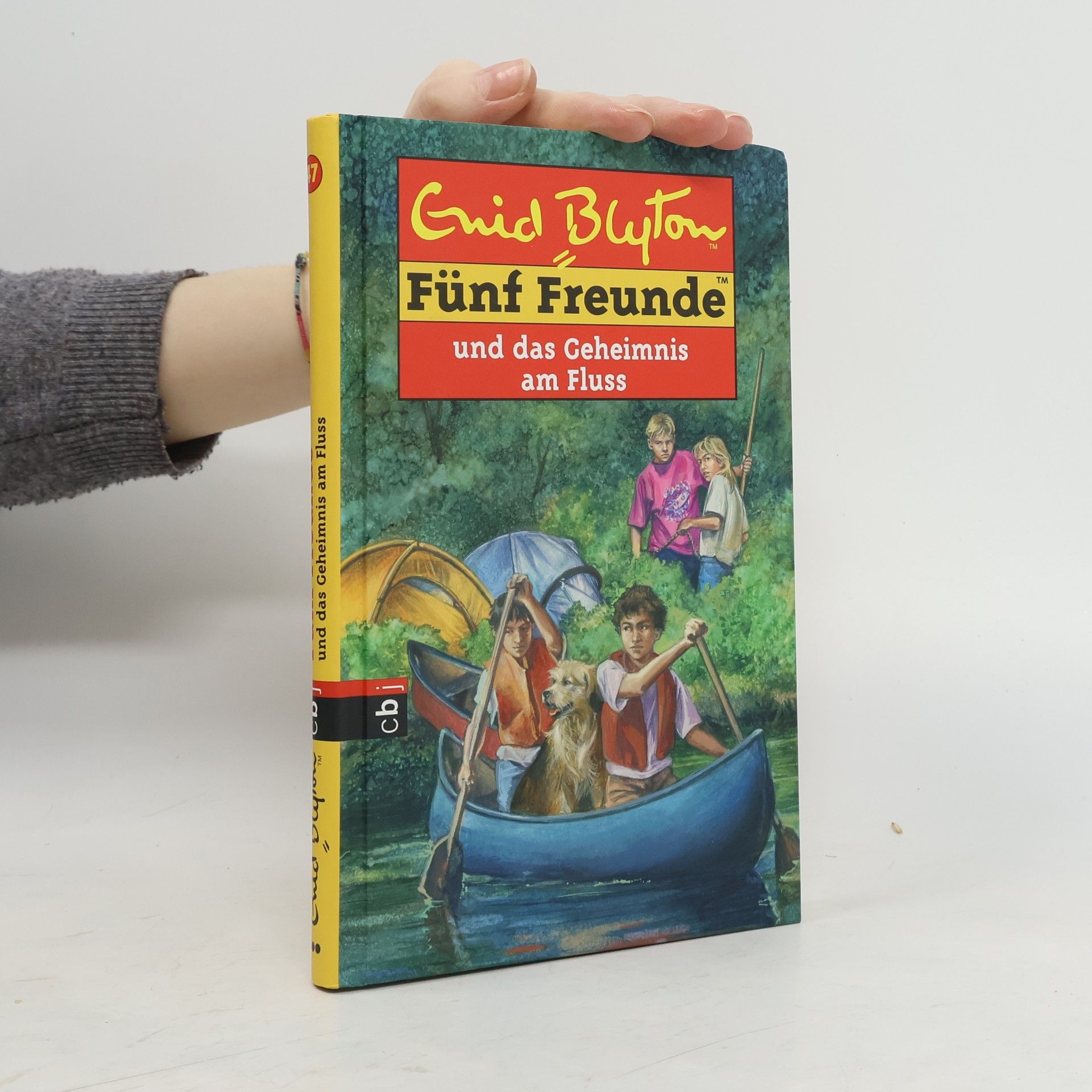 Sarah Bosse Fünf Freunde und das Geheimnis am Fluss