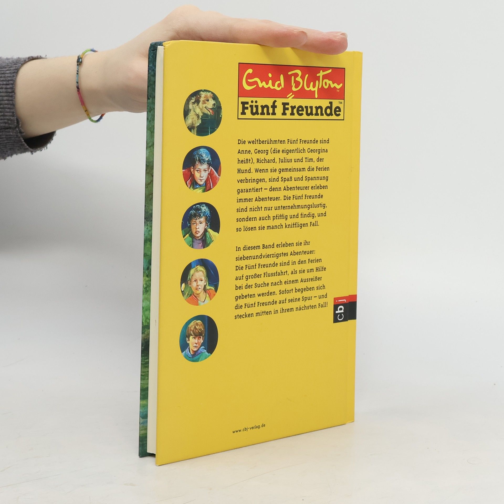 Sarah Bosse Fünf Freunde und das Geheimnis am Fluss