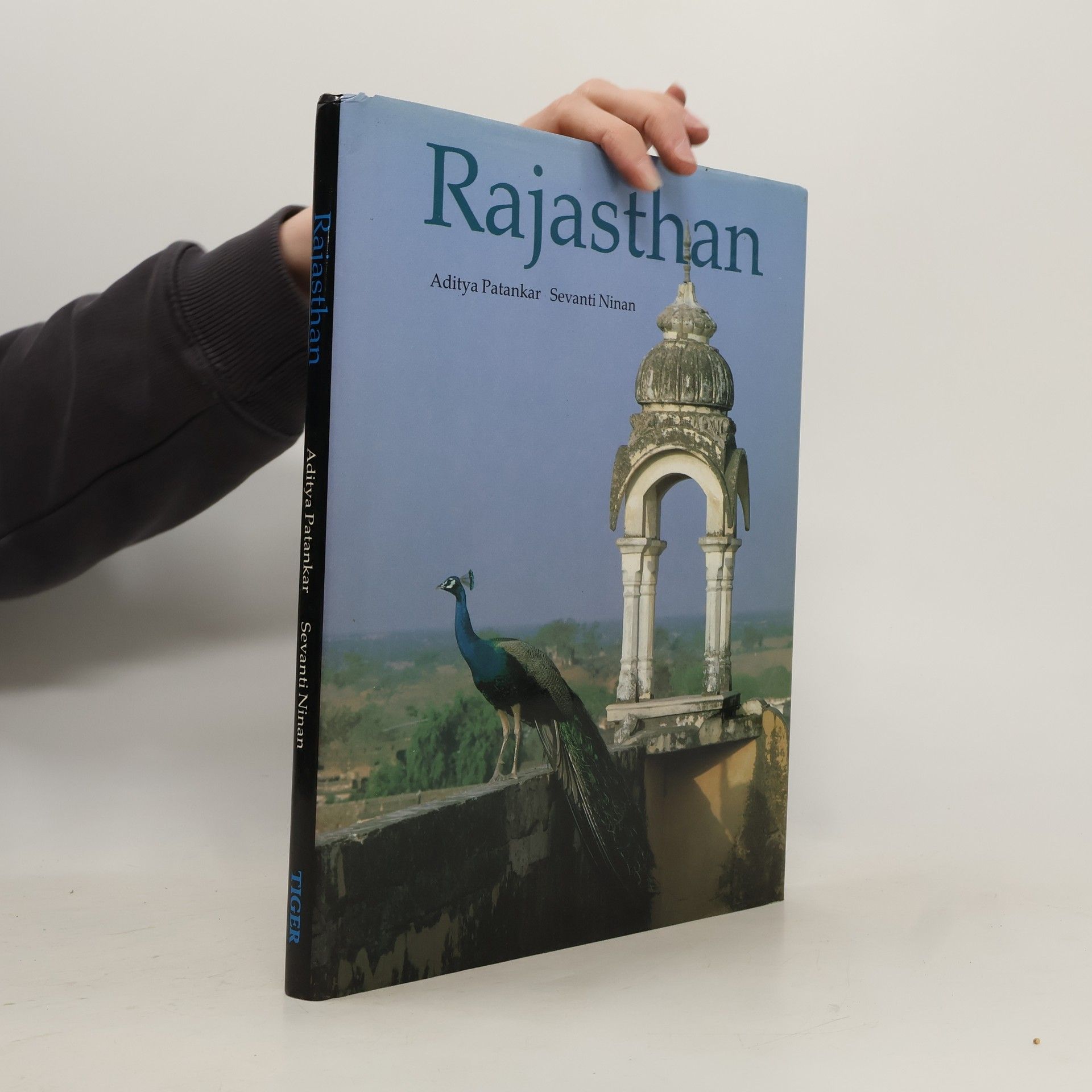 Aditya Patankar Rajasthan