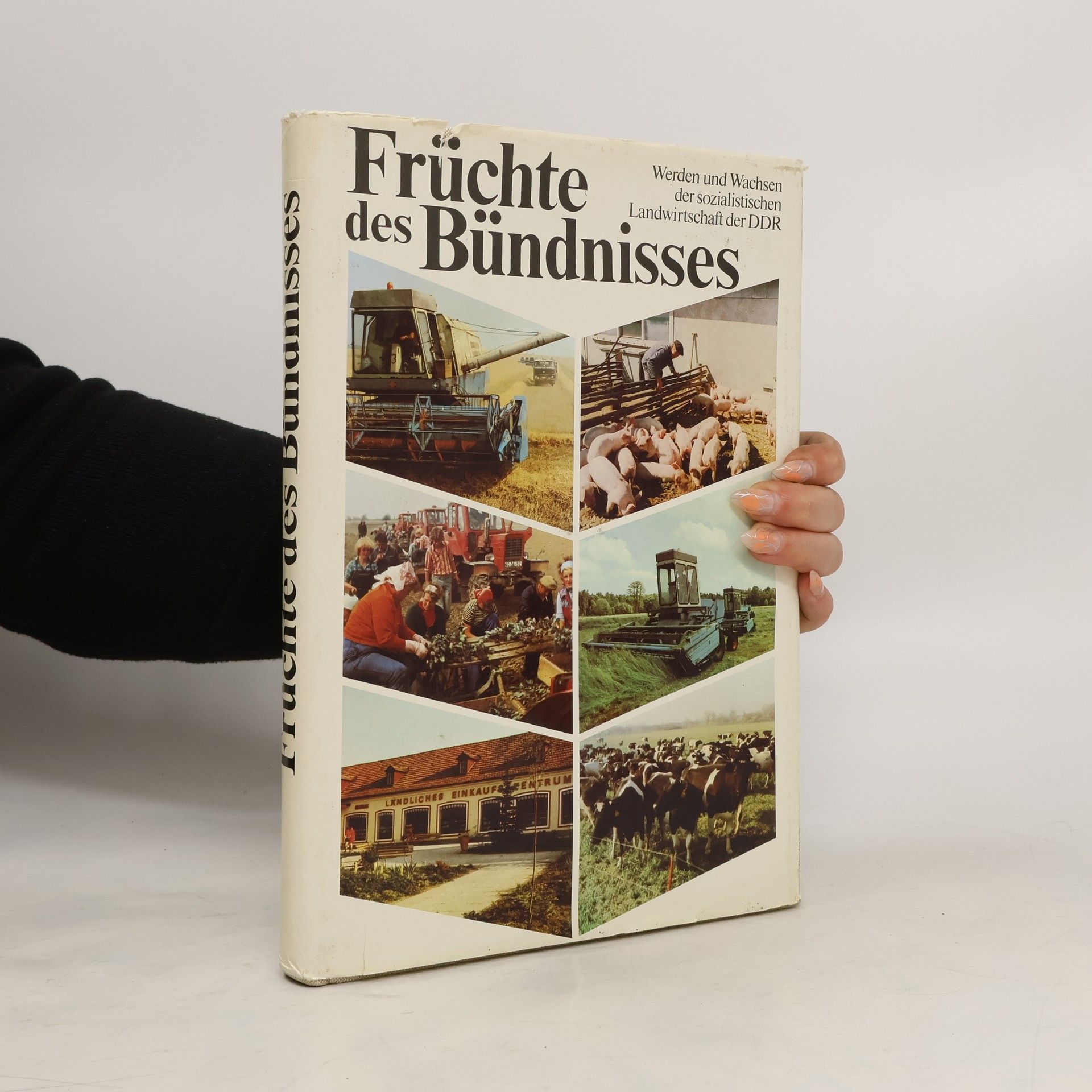 kolektiv Früchte des Bündnisses