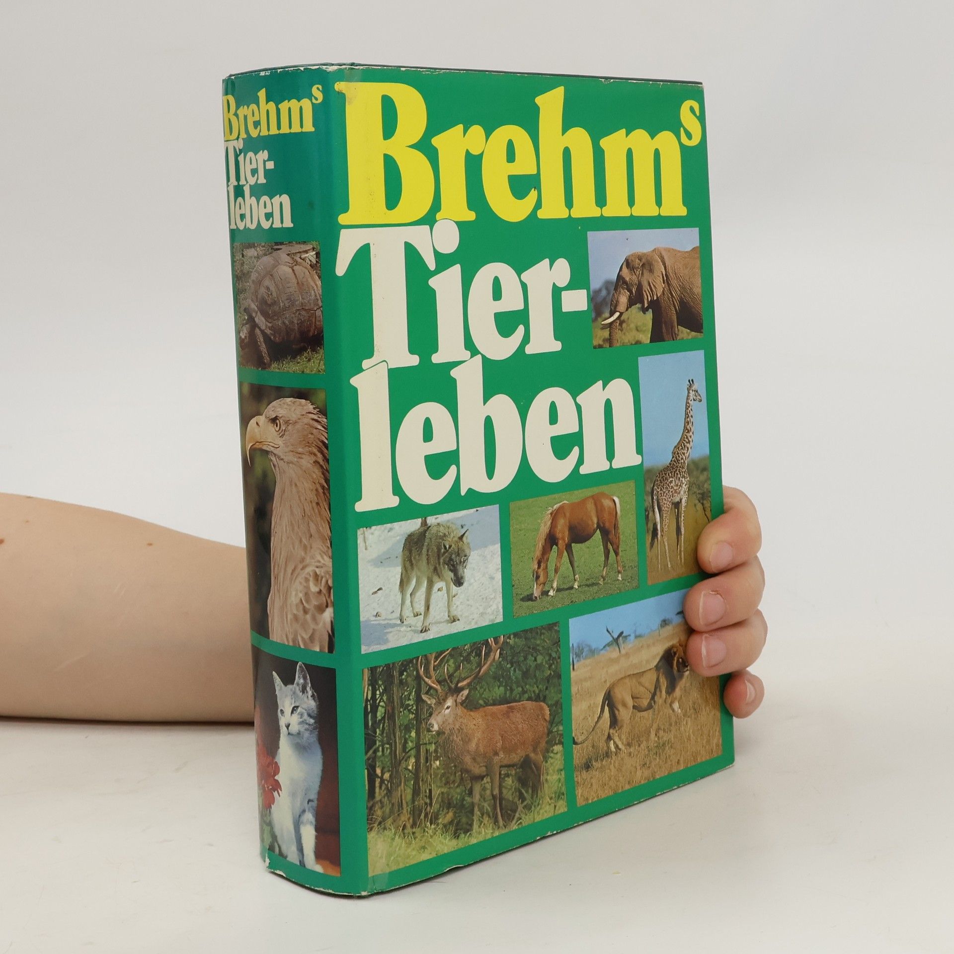 Autorenkollektiv Brehms Tierleben