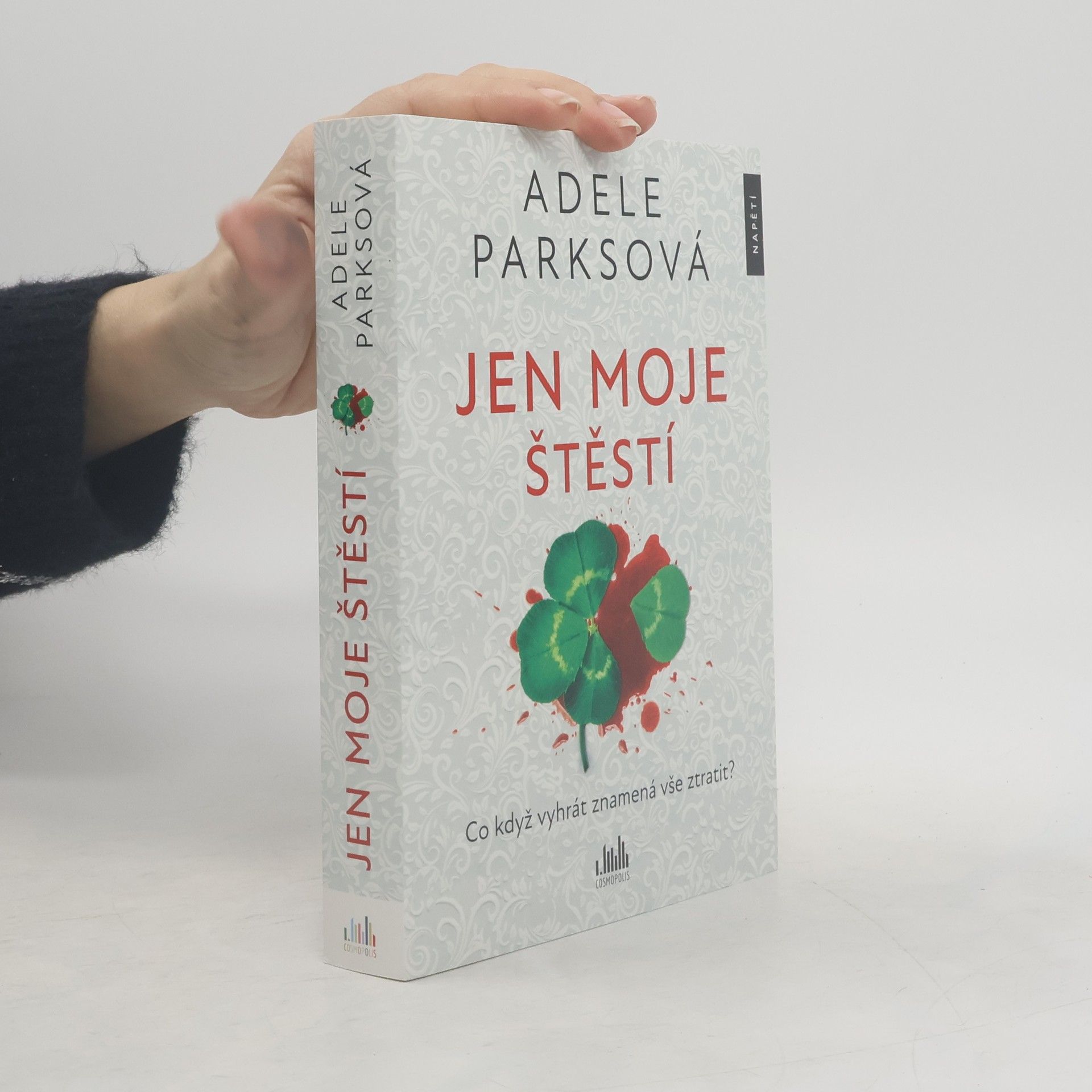 Adele Parks Jen moje štěstí