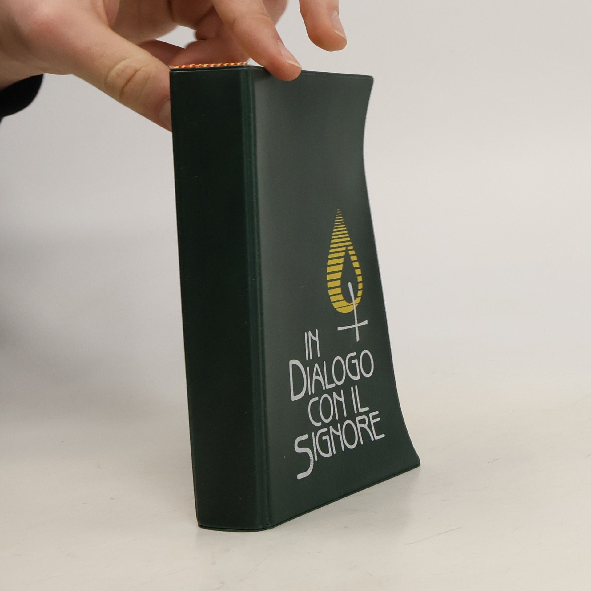 kolektiv In dialogo con il Signore. Guida alla comunità salesiana in preghiera