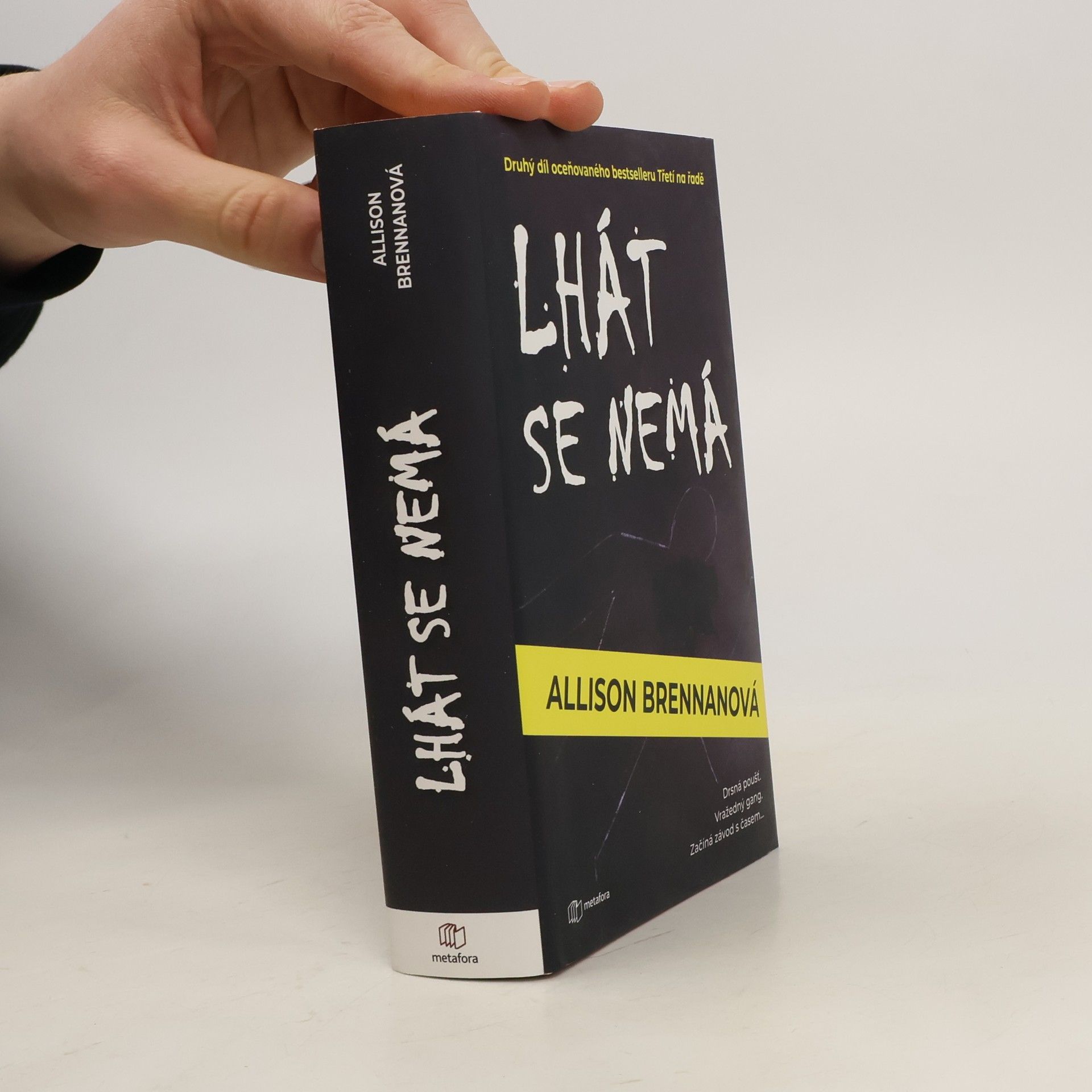Allison Brennan Lhát se nemá