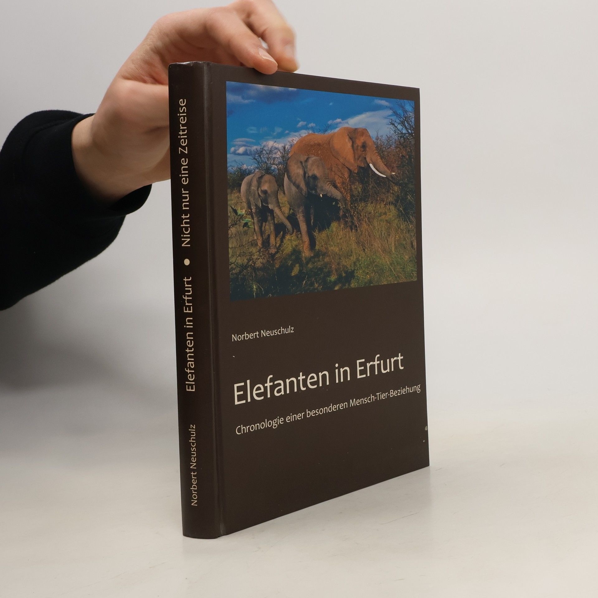 Norbert Neuschulz Elefanten in Erfurt