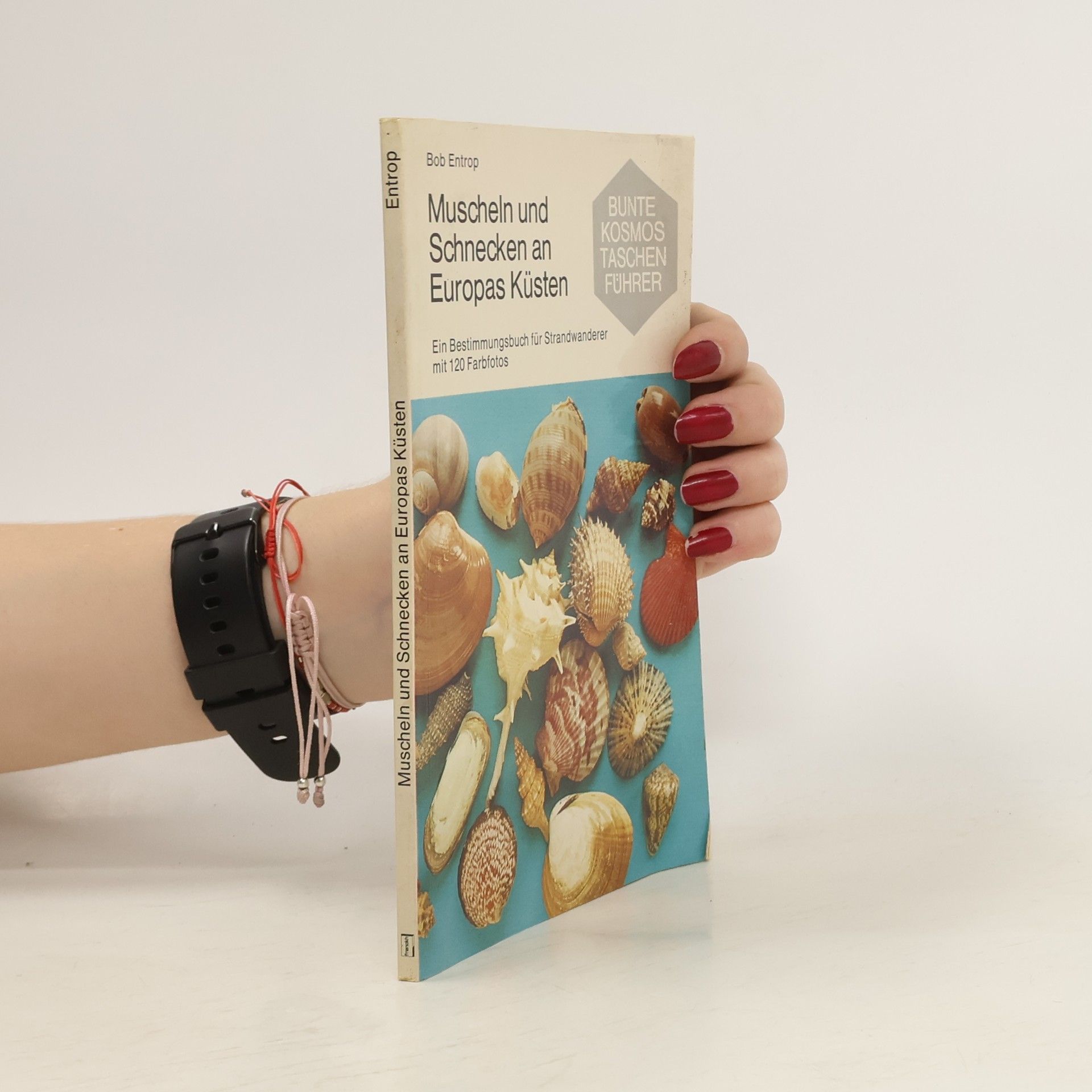 Bob Entrop Muscheln und Schnecken an Europas Küsten