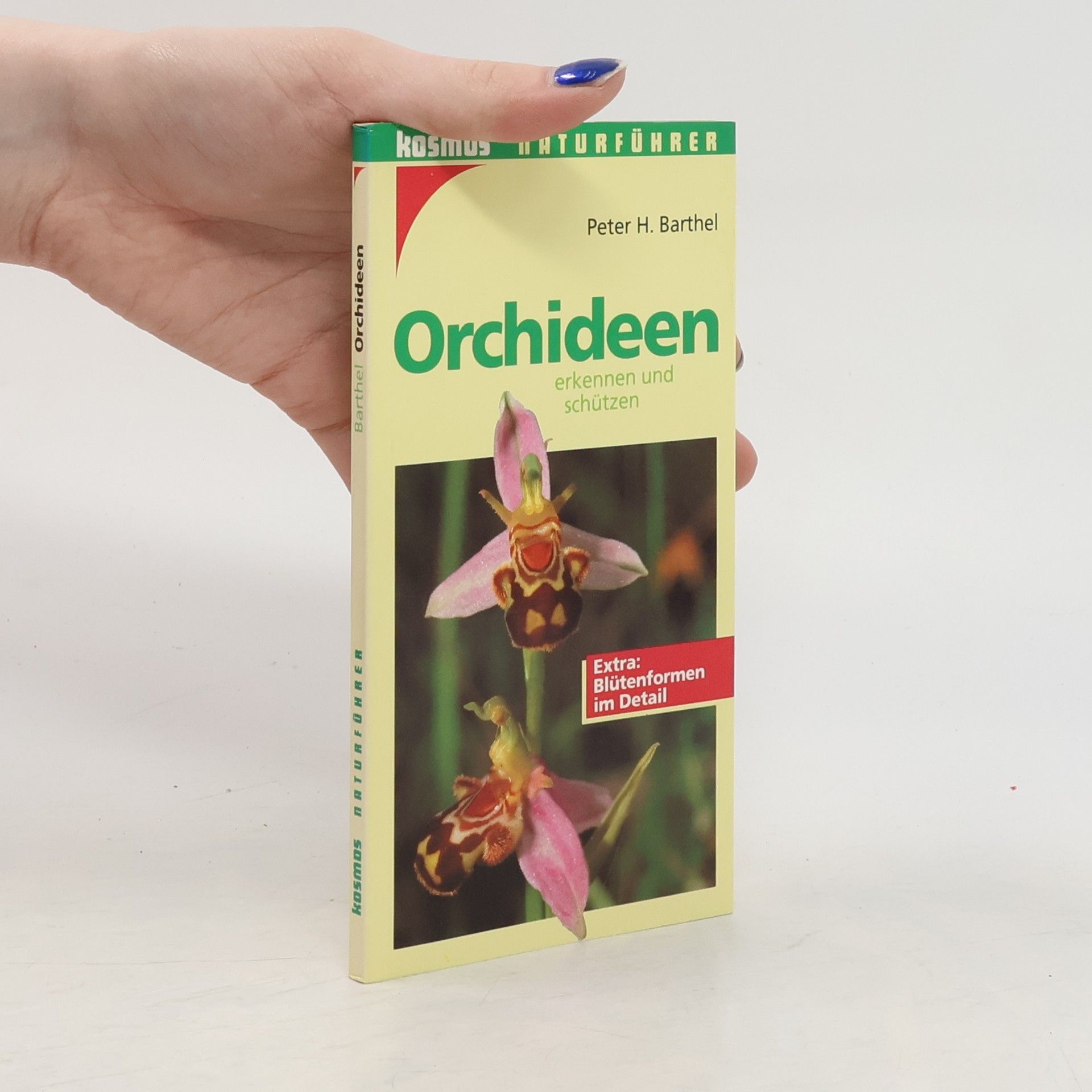 P. H. Barthel Orchideen