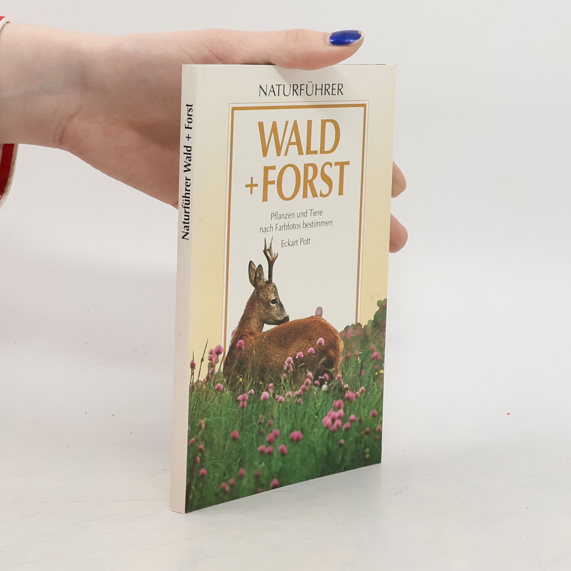 Eckart Pott Wald und Forst