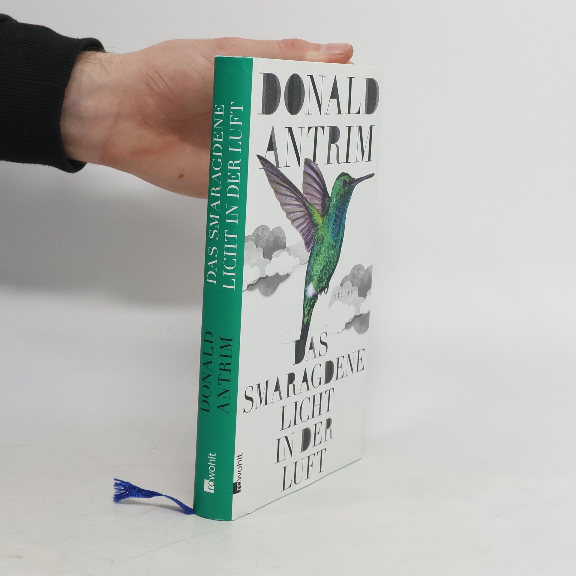 Donald Antrim Das smaragdene Licht in der Luft