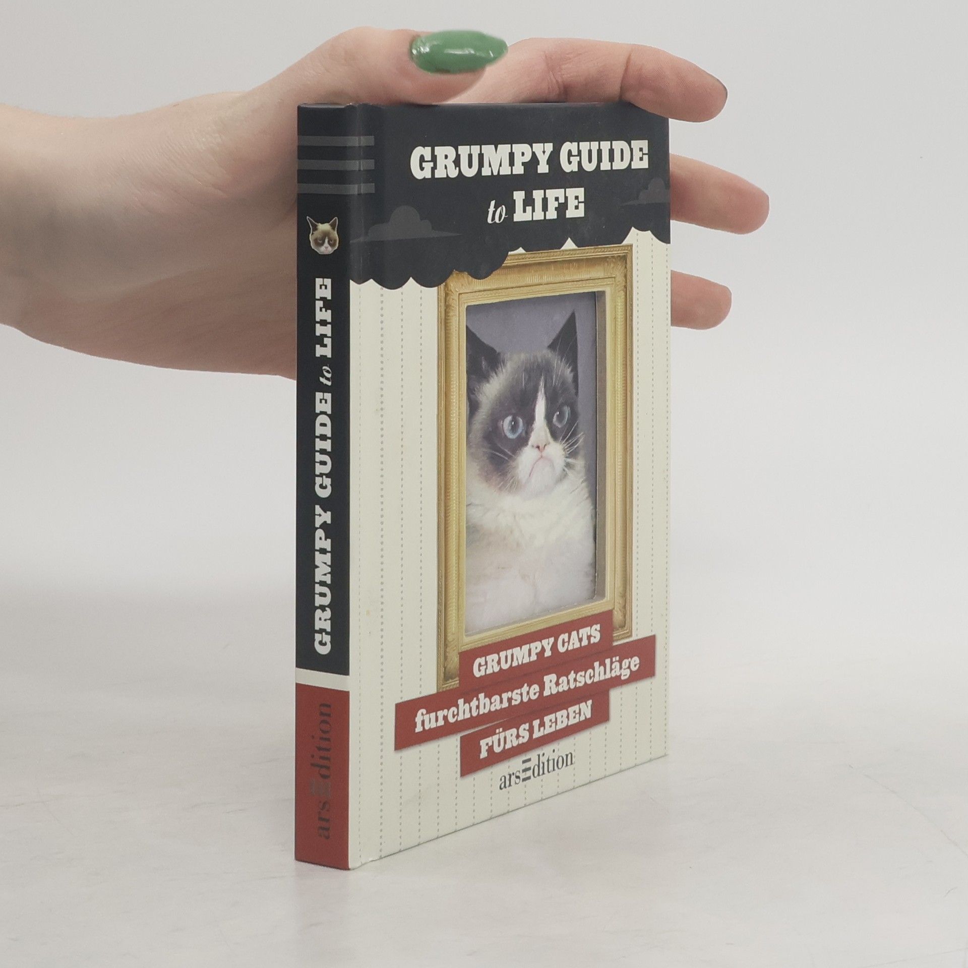 Collectif d'auteurs Grumpy Guide to Life