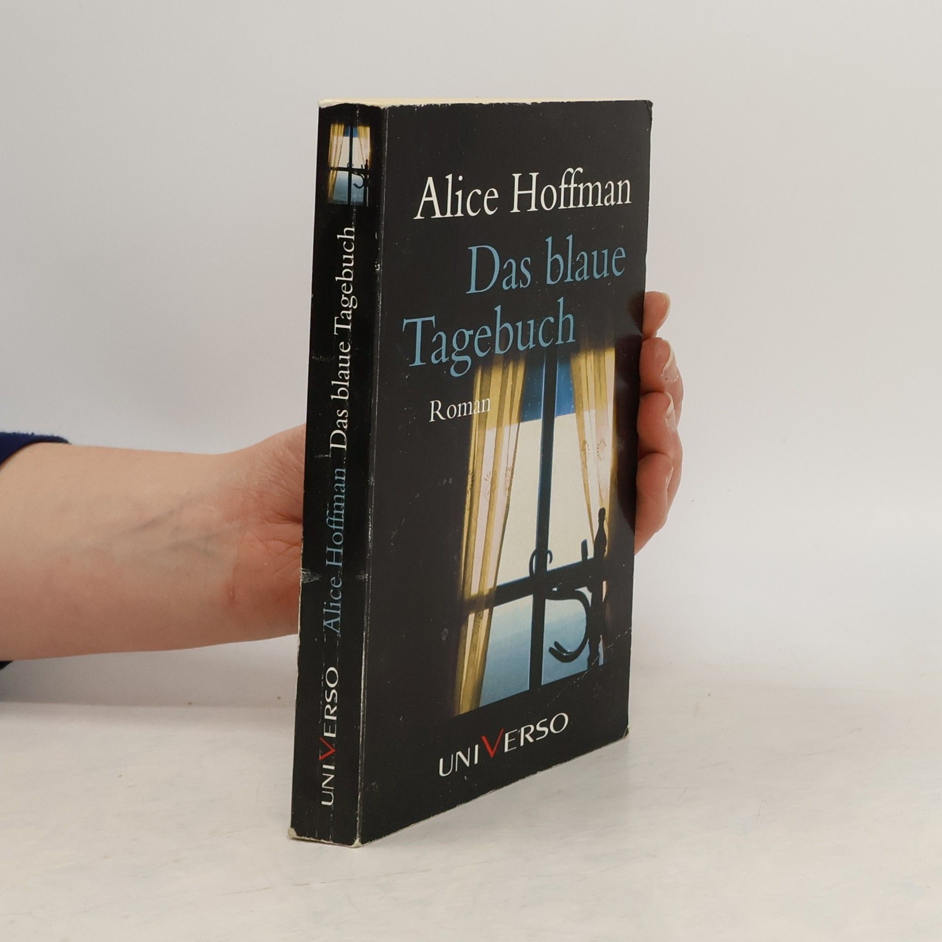 Alica Hoffmann Das blaue Tagebuch