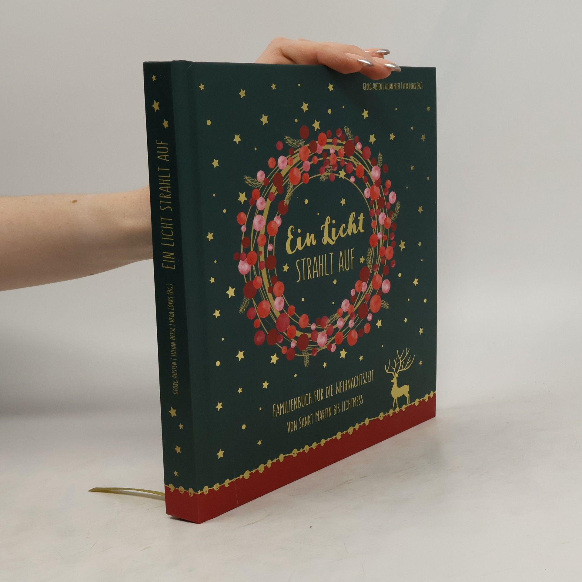 Georg Austen Ein Licht strahlt auf. Familienbuch für die Weihnachtszeit<br>Von Sankt Martin bis Lichtmess