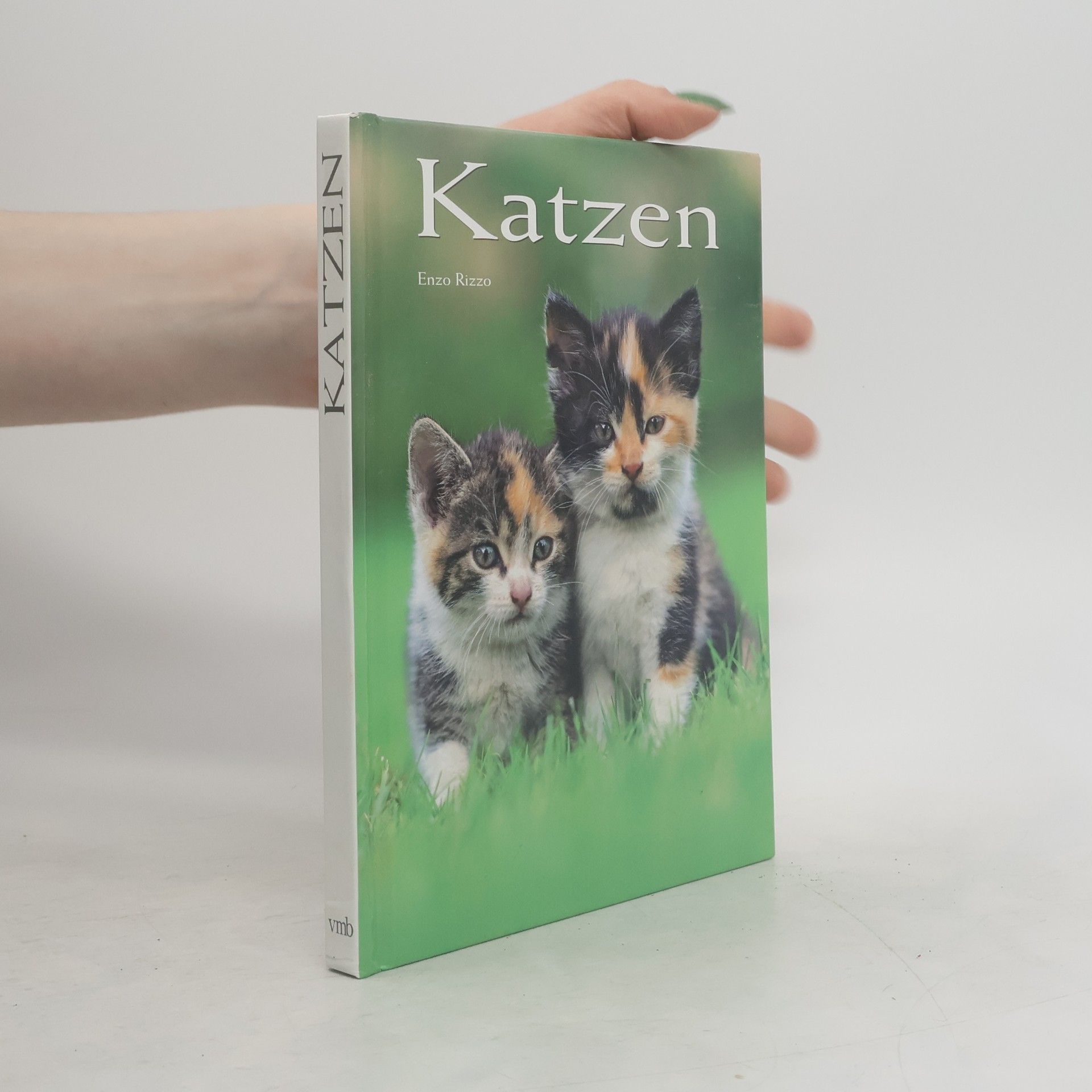 Enzo Rizzo Katzen