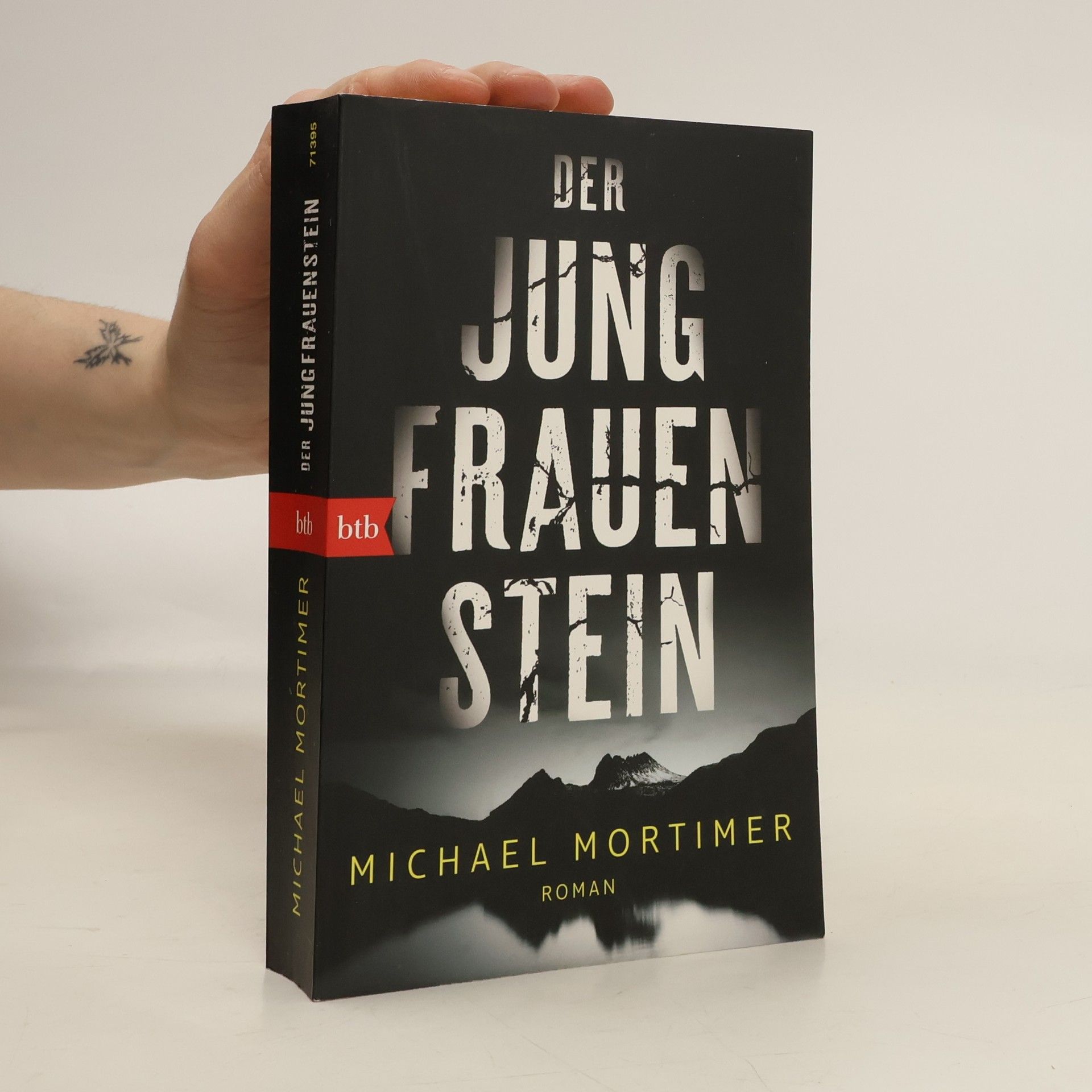 Jerker Virdborg Der Jungfrauenstein