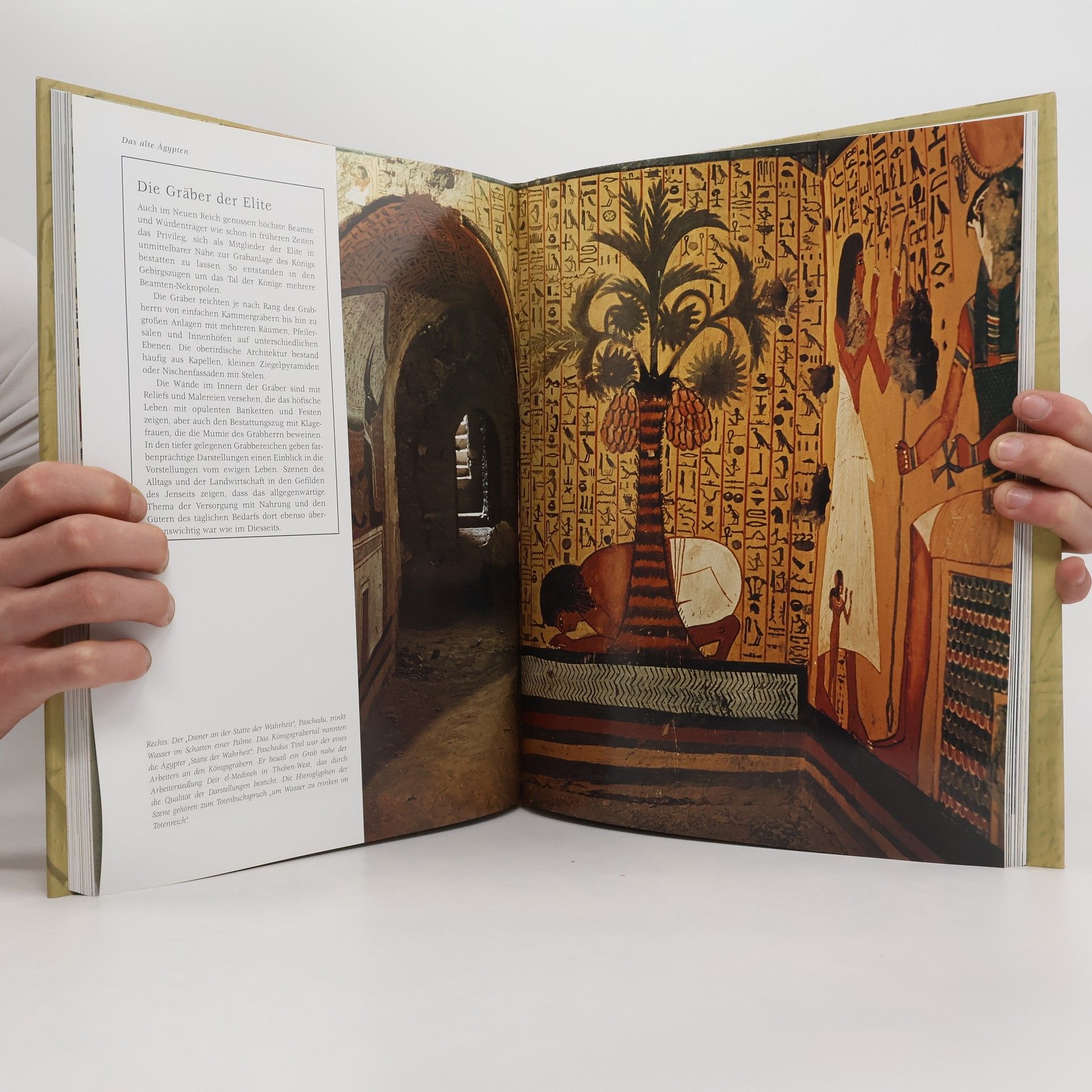 Robert Hamilton Ägypten : Reich der Pharaonen