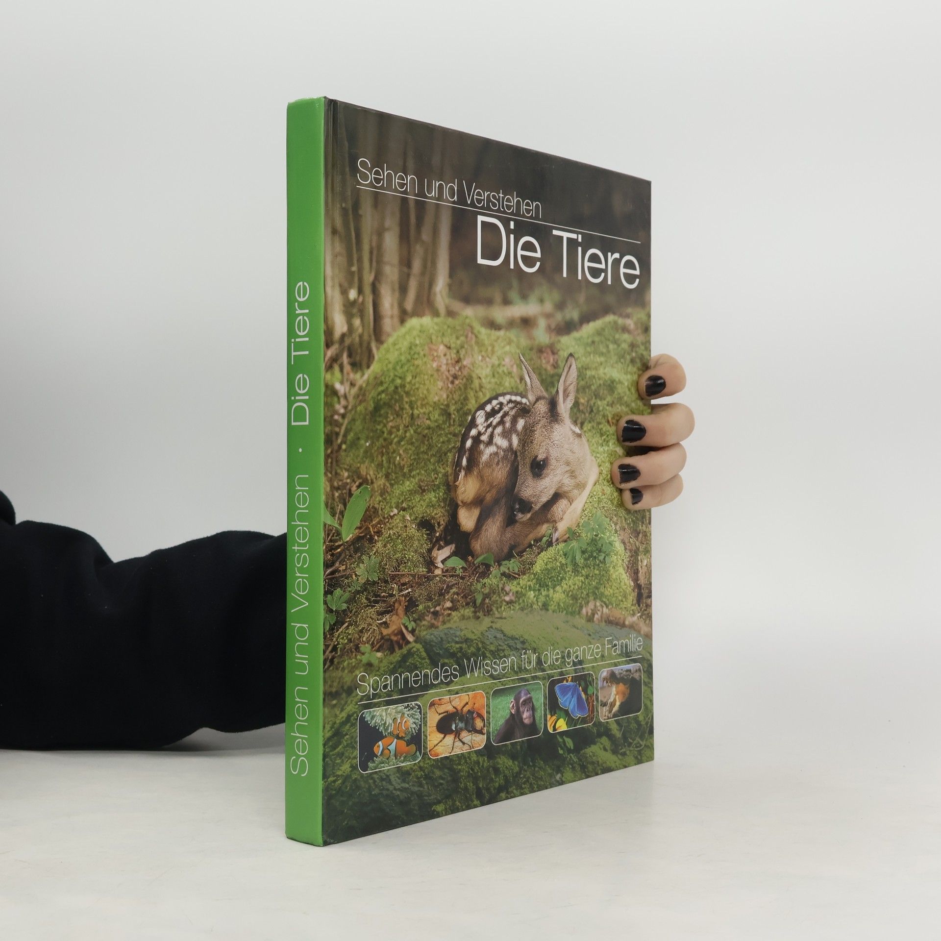 kolektiv Sehen und Verstehen. Die Tiere