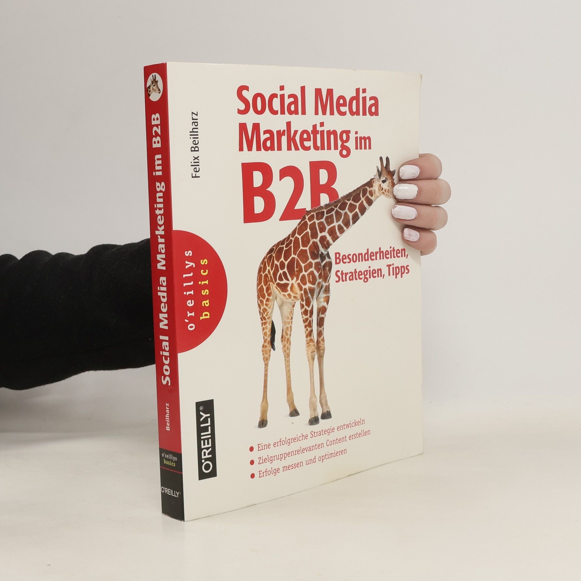 Felix Beilharz Social Media Marketing im B2B