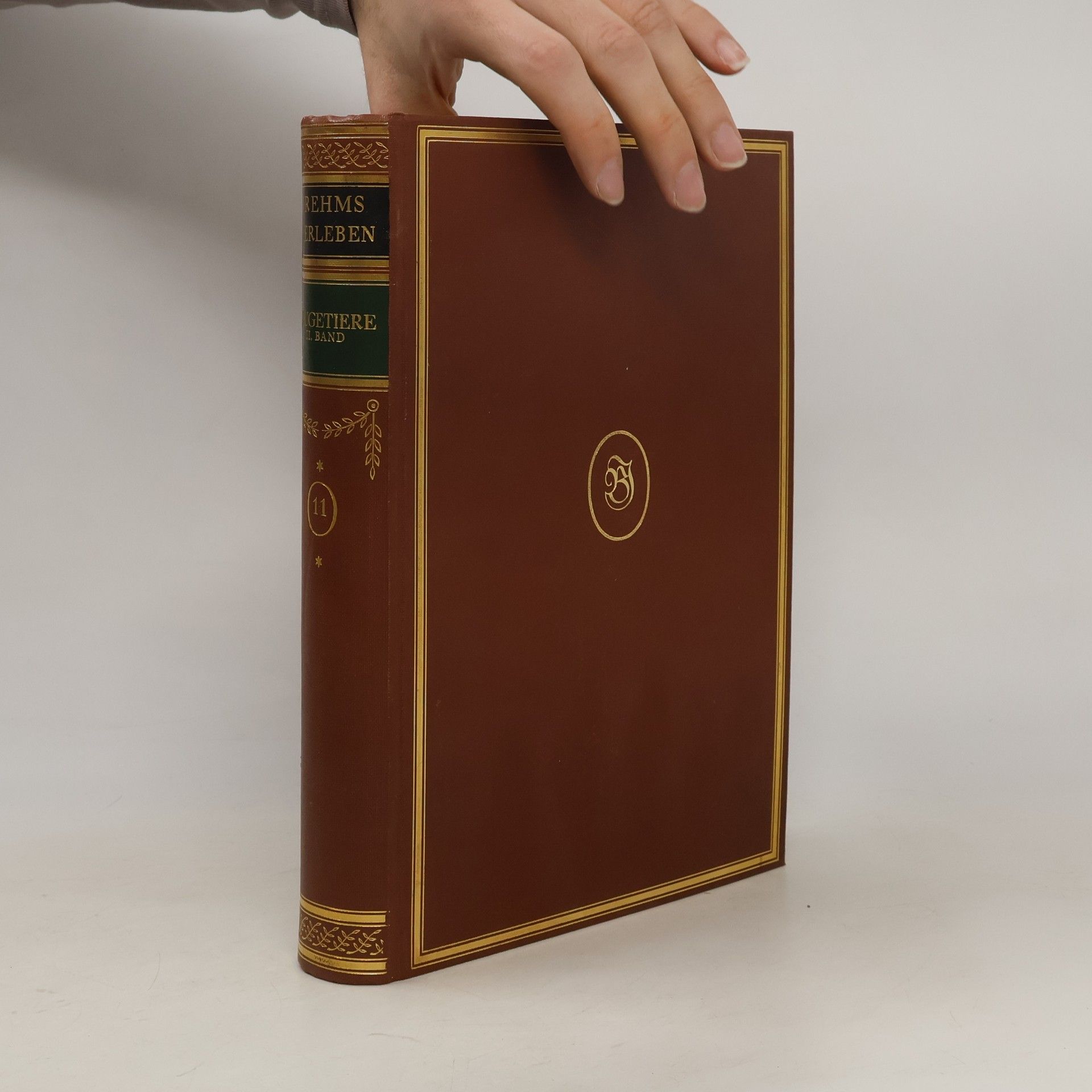 Alfred Edmund Brehm Brehms Tierleben 11. Die Säugetiere II