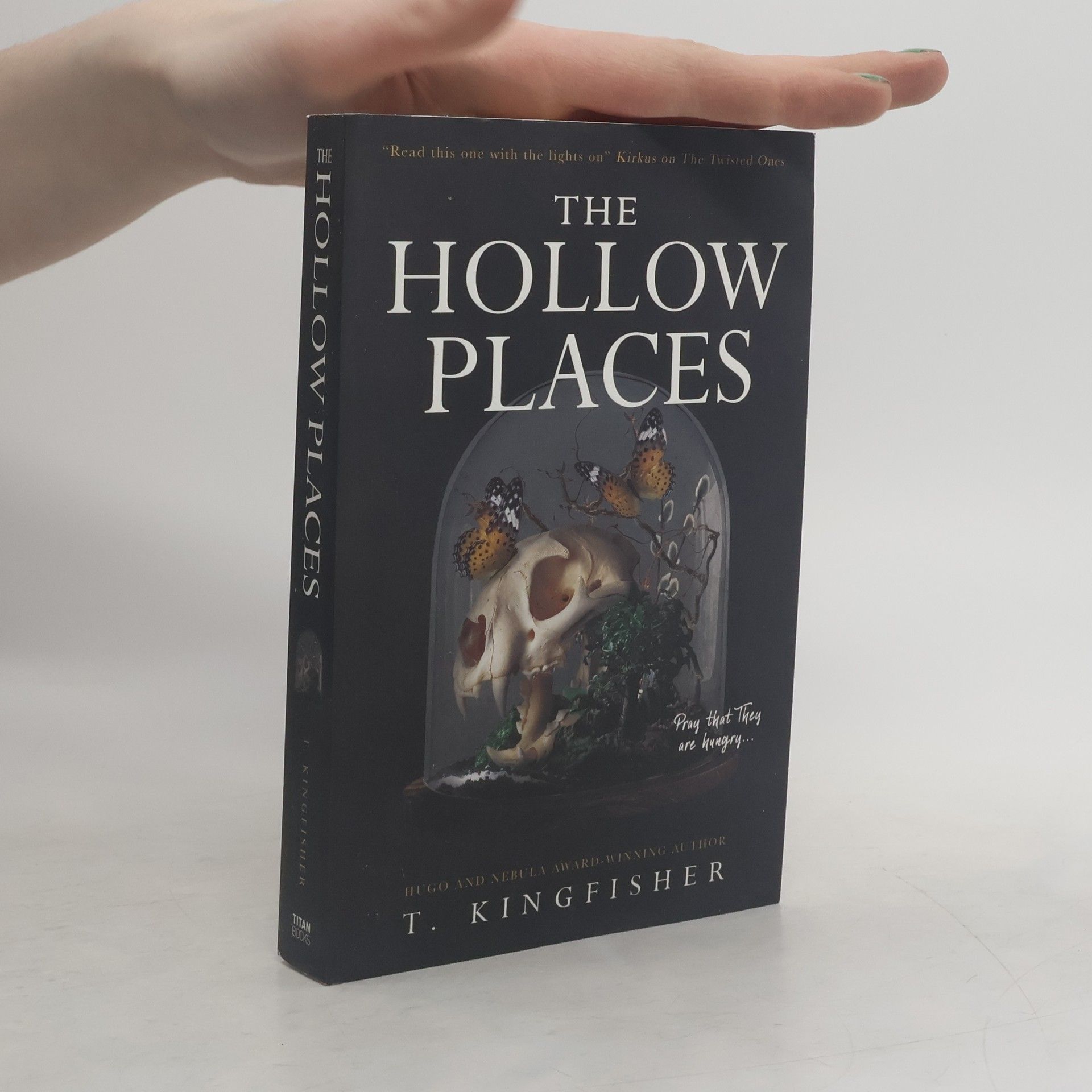 T. Kingfisher The Hollow Places