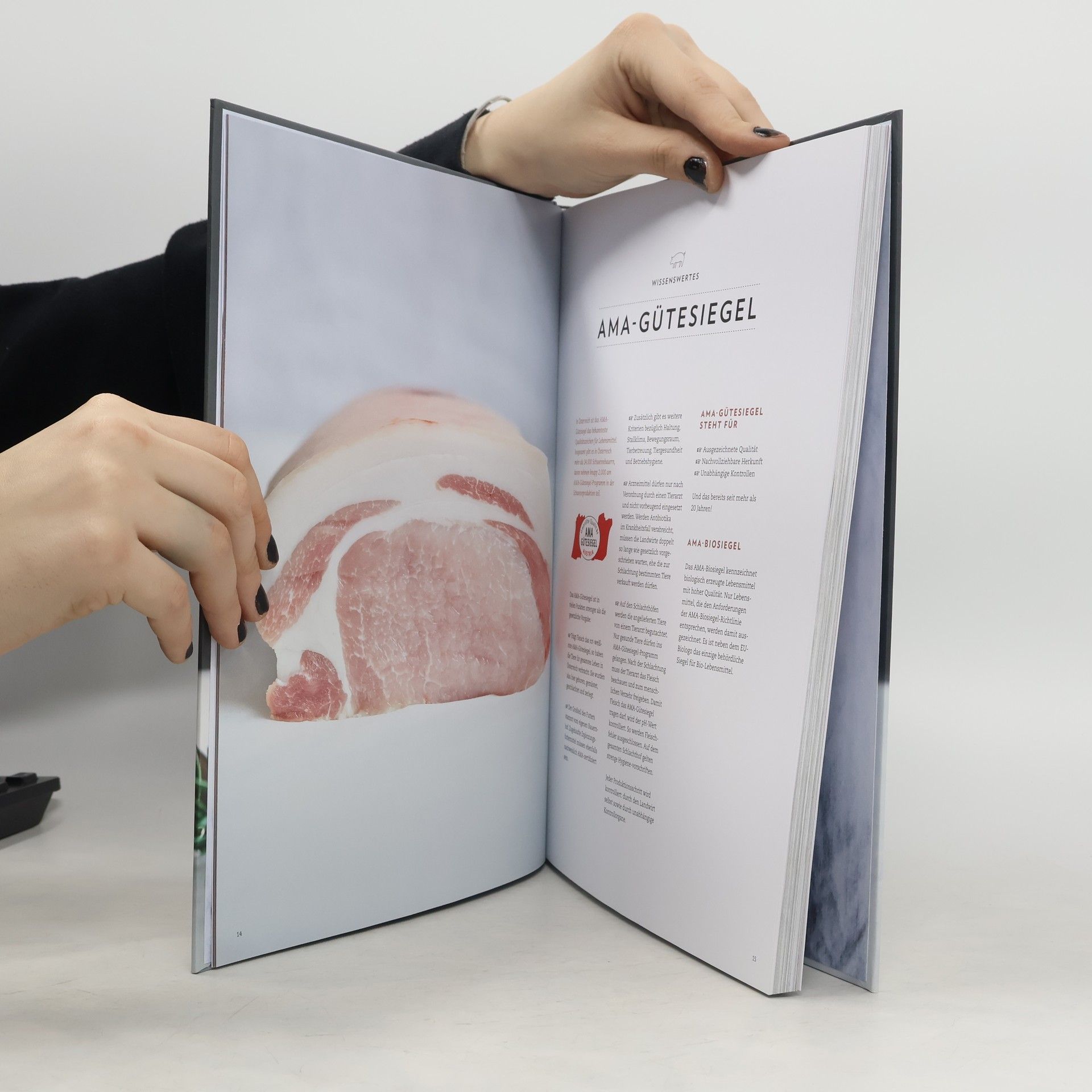 Autorenkollektiv Schwein