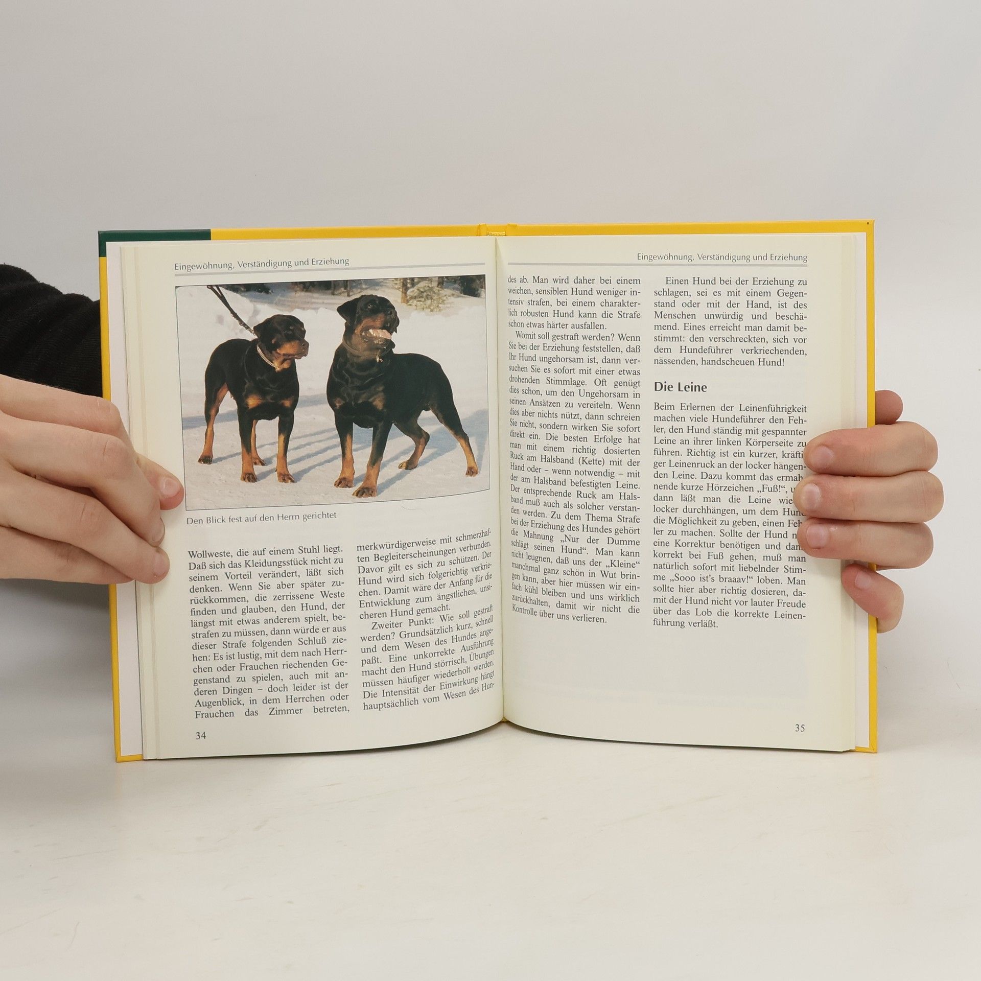 Adolf Ringer Der Rottweiler